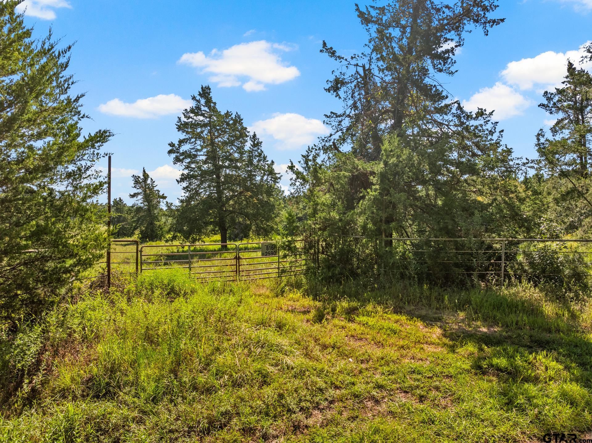 816 CR 2590