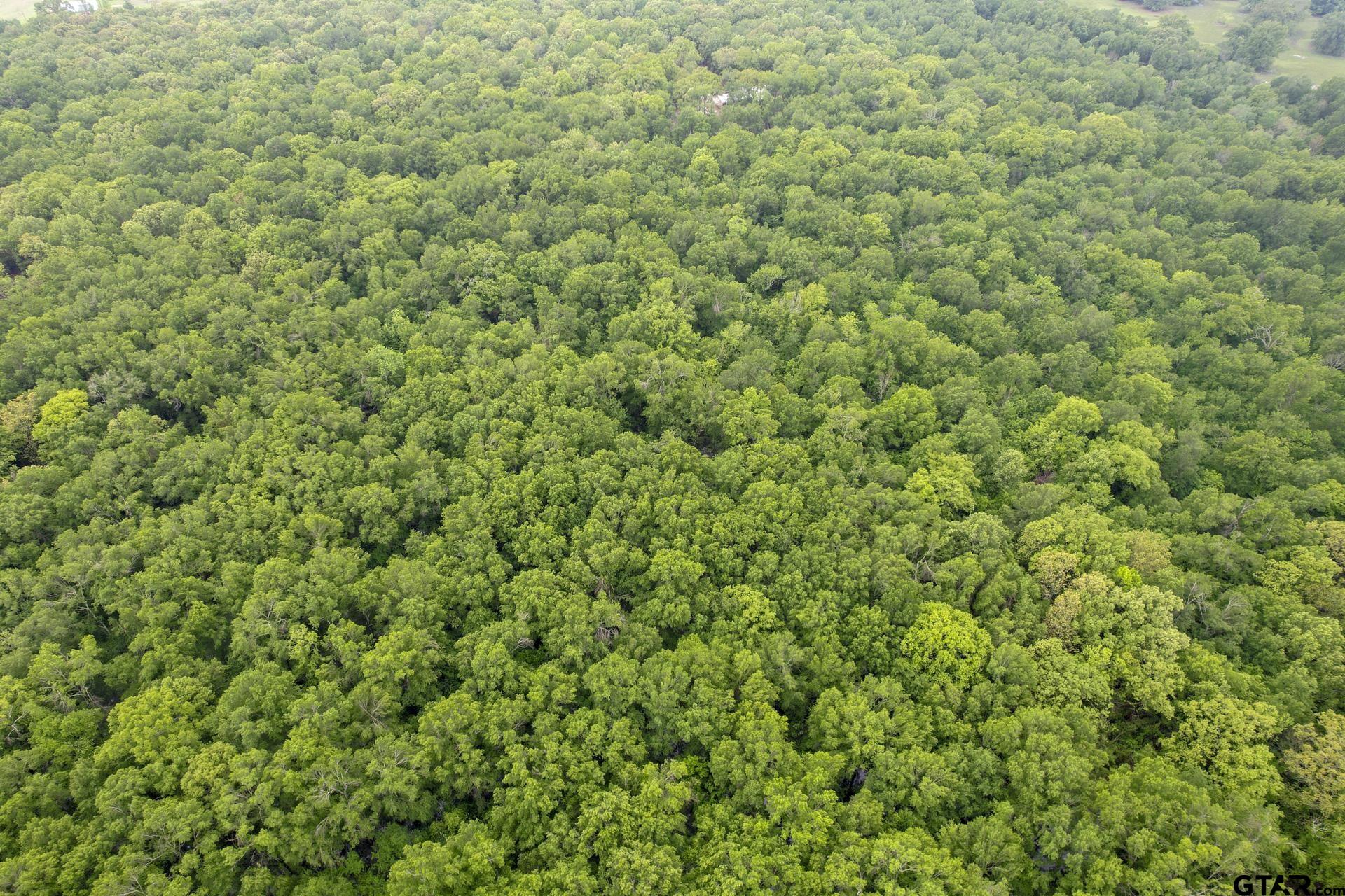 TBD NE County Road 2022 - Tract H