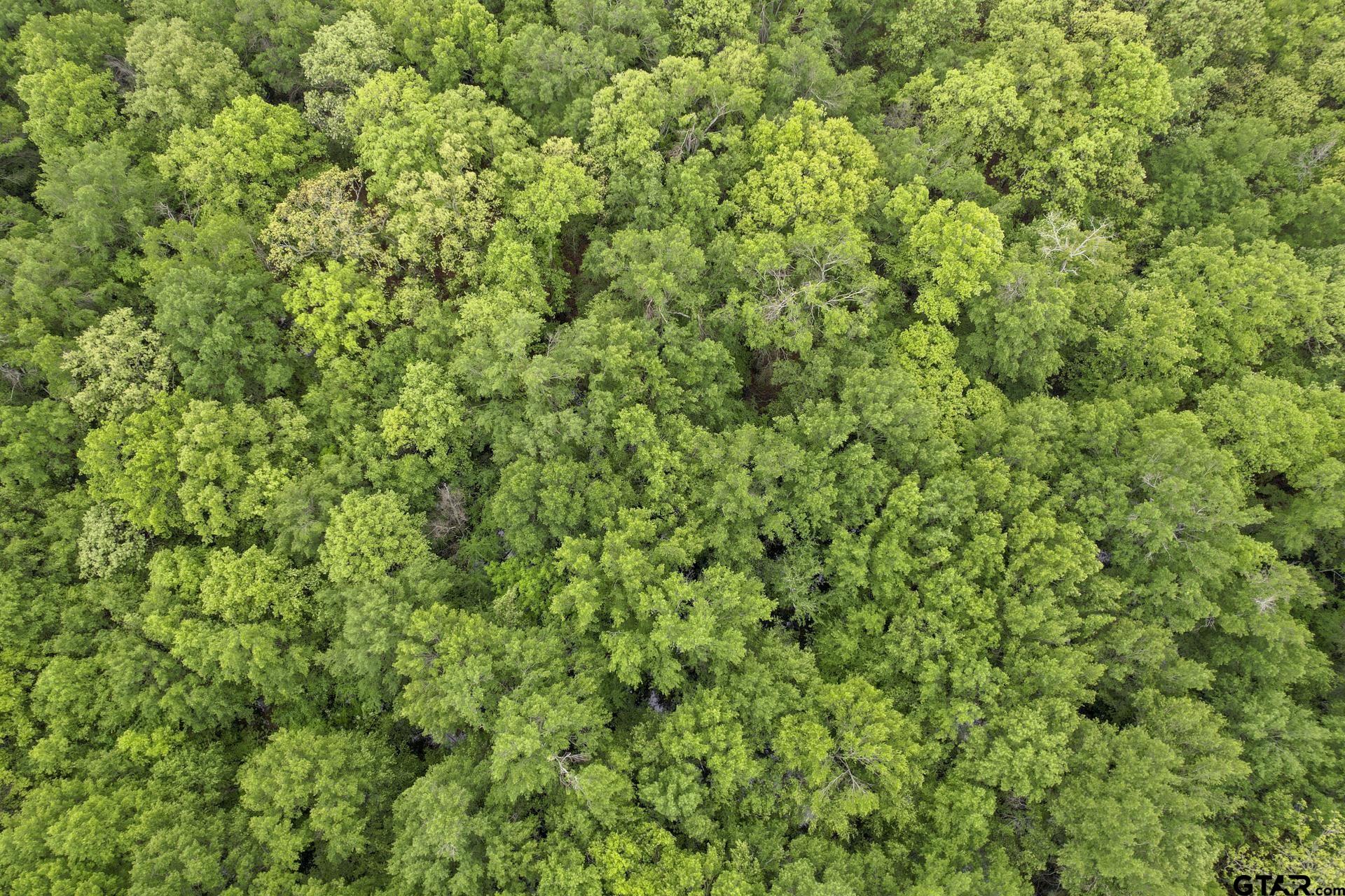 TBD NE County Road 2022 - Tract H