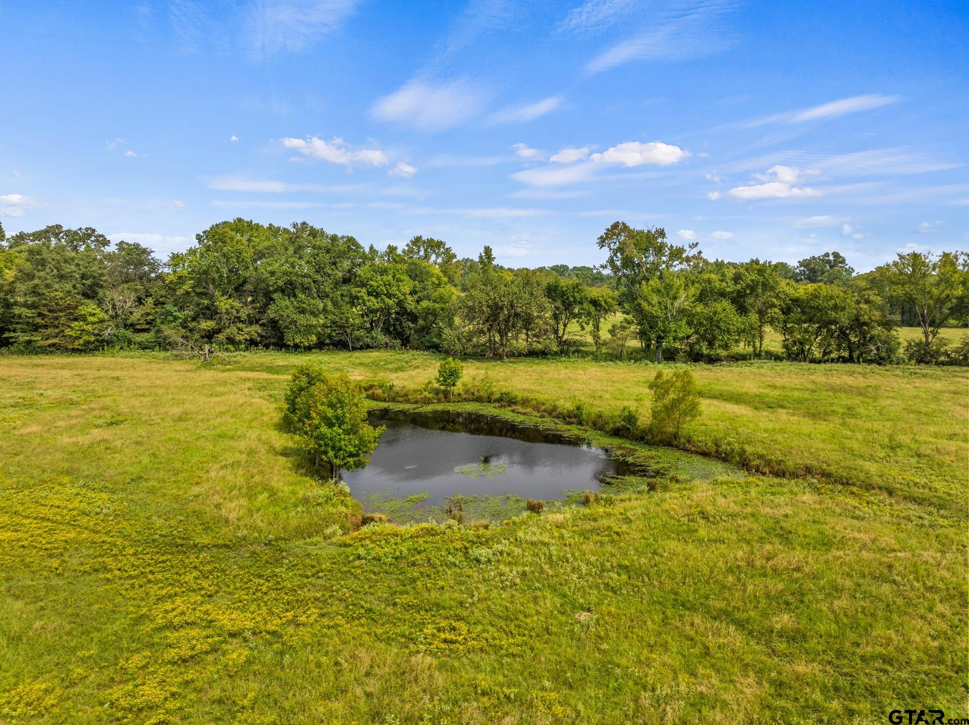 TBD County Road 4510