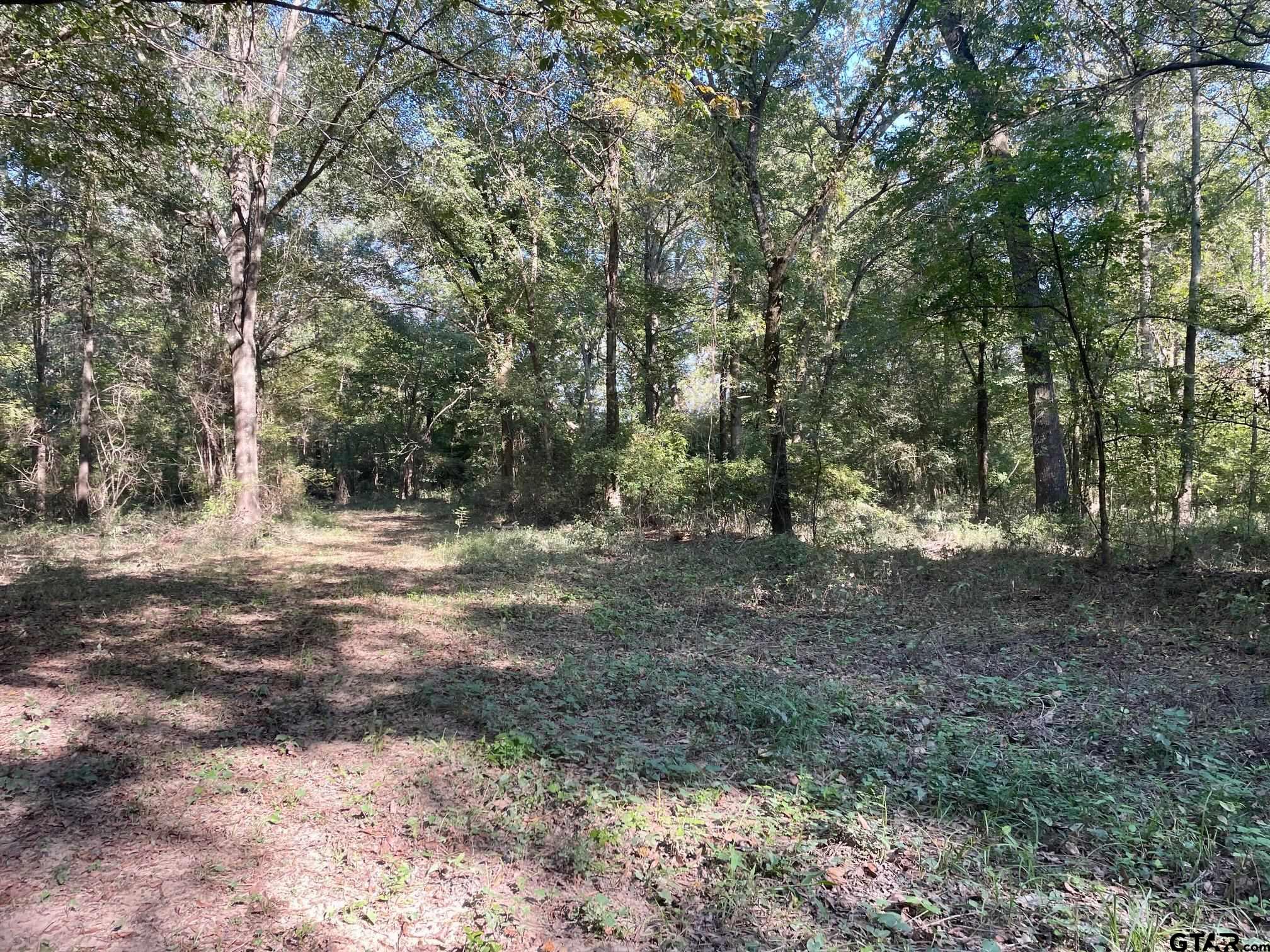 TBD Mink Road