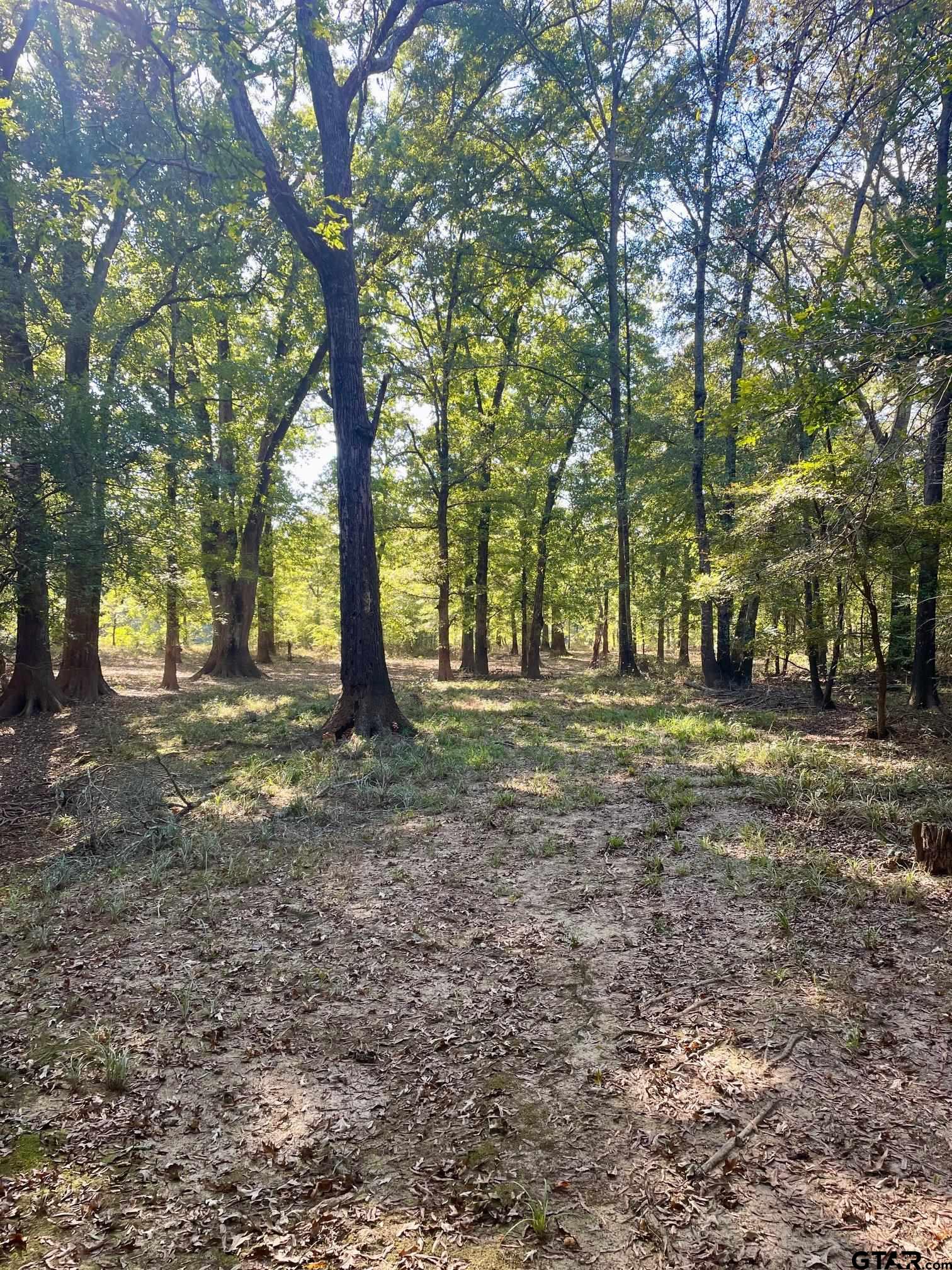 TBD Mink Road