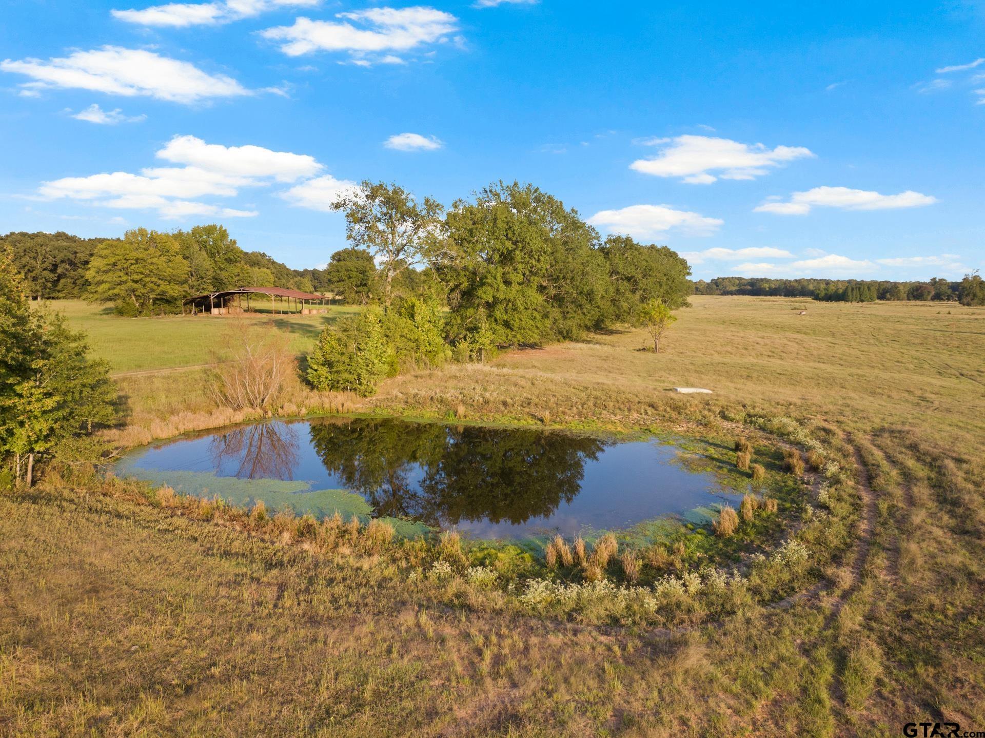 1663 County Road 1405