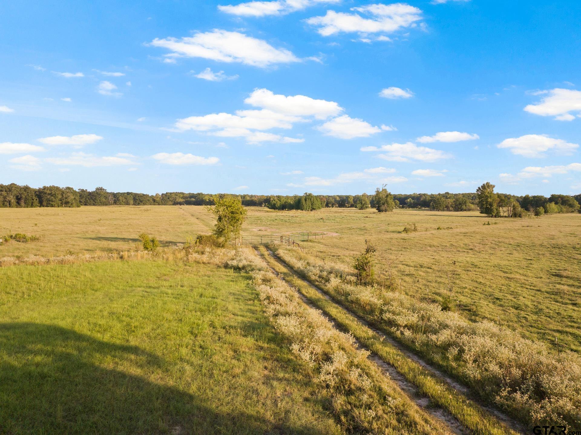 1663 County Road 1405
