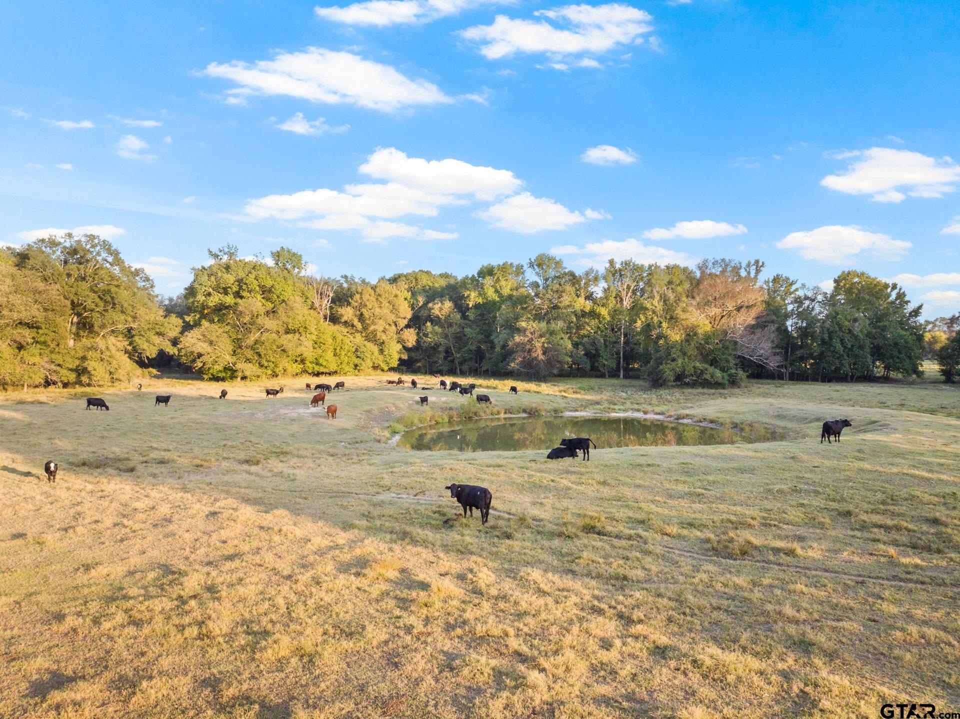 1663 County Road 1405