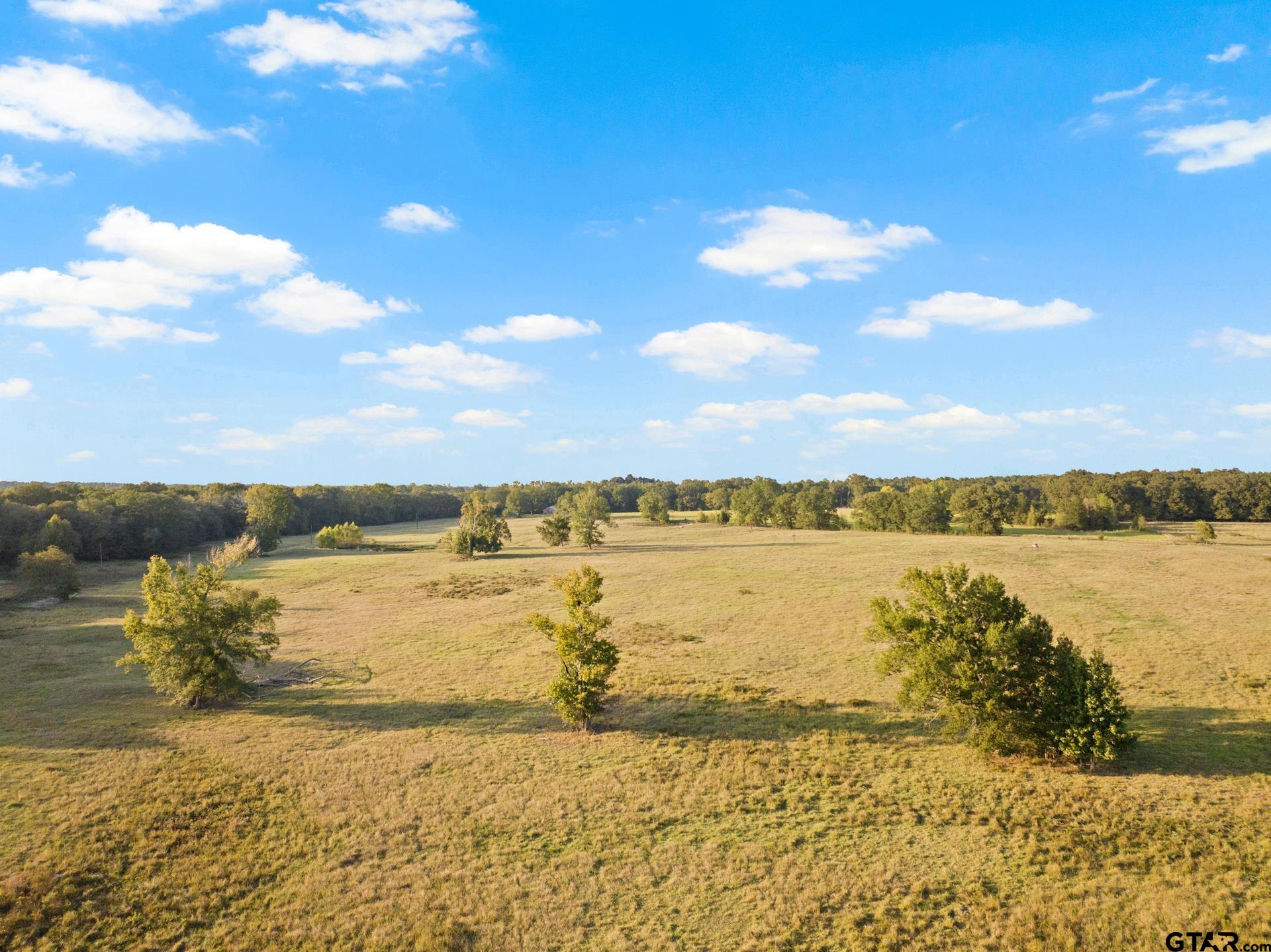 1663 County Road 1405