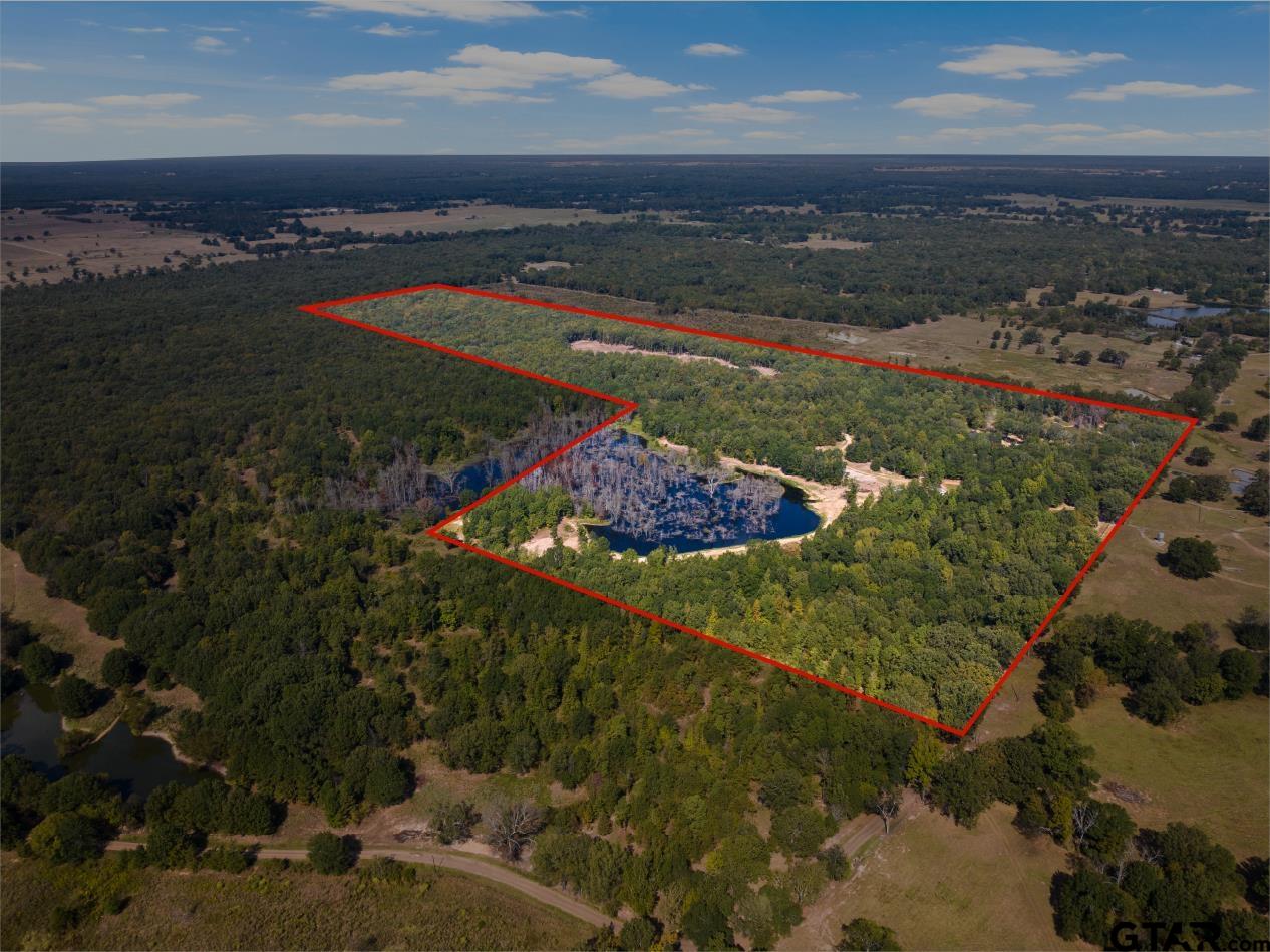 3465 County Road 1360