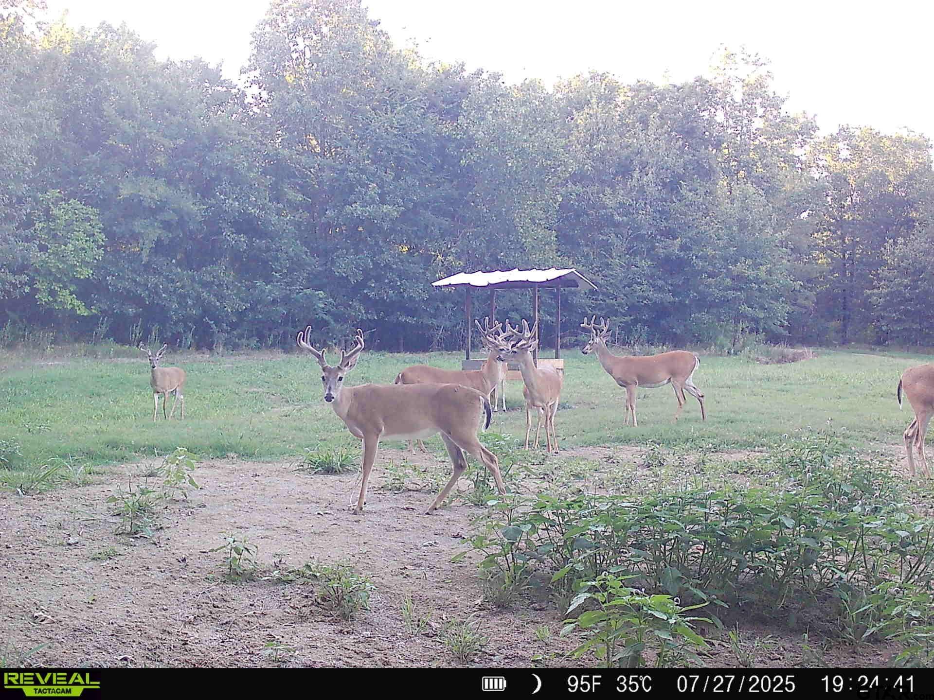 3465 County Road 1360