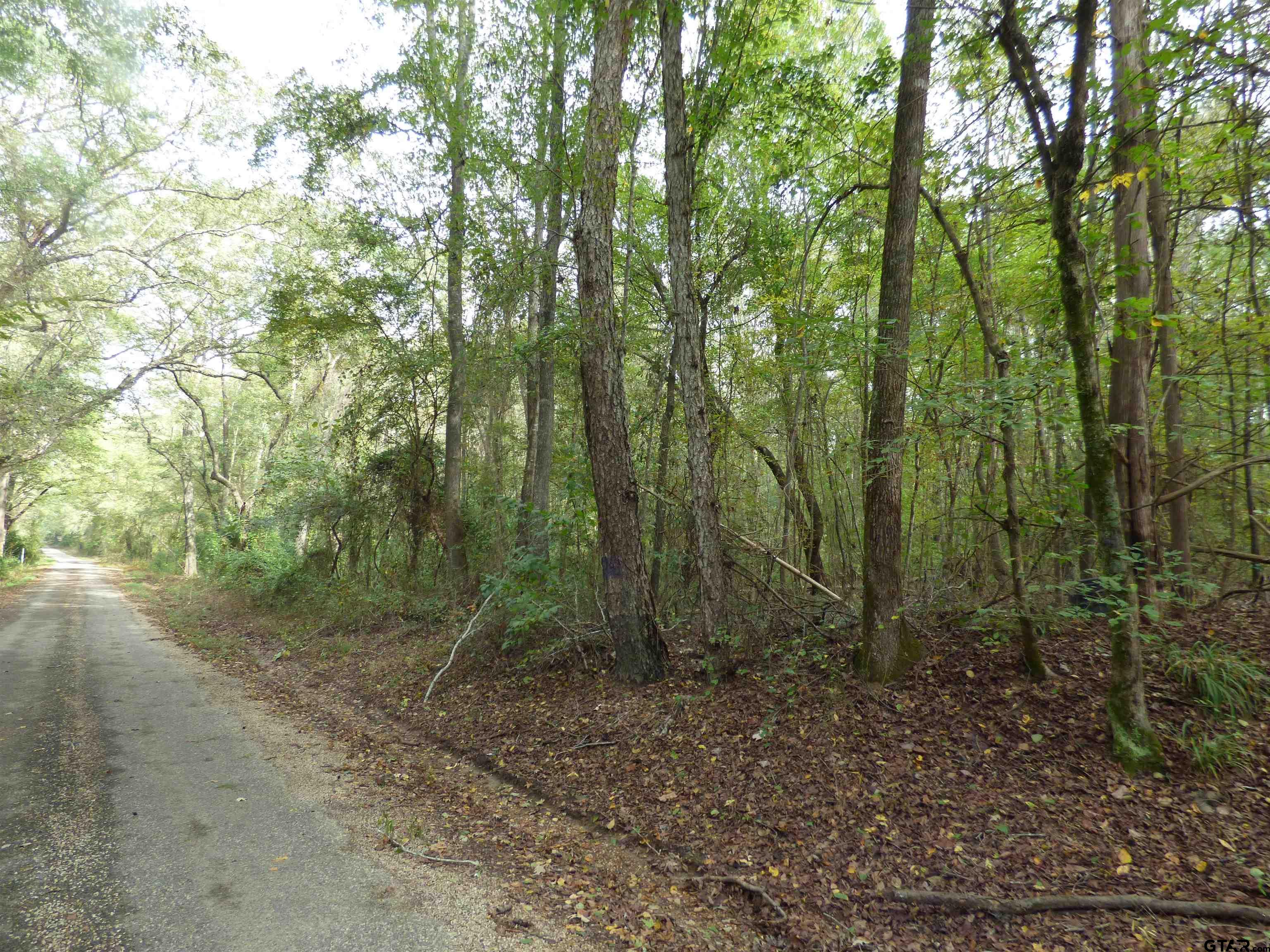 9371 County Road 3416