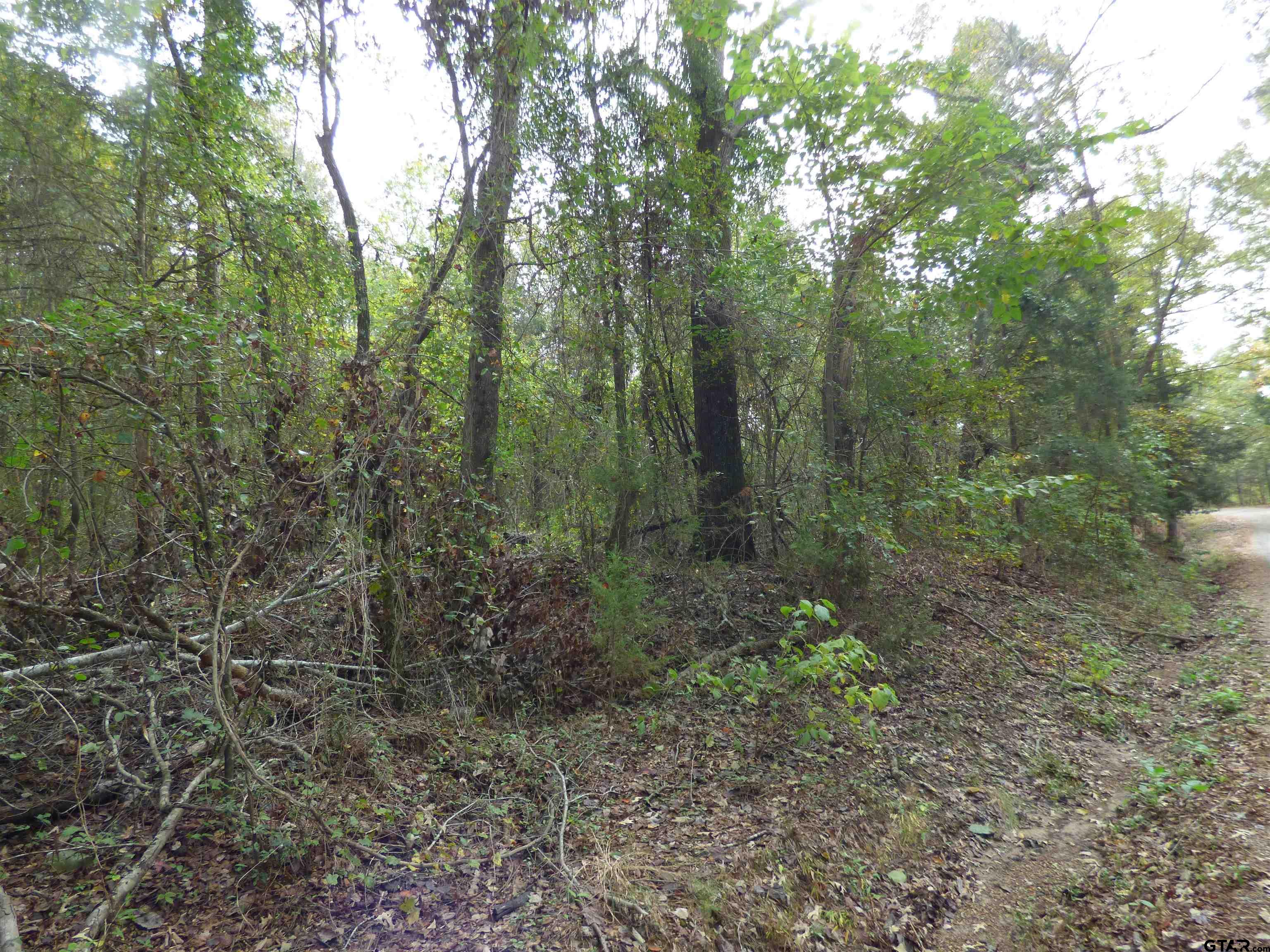 9371 County Road 3416