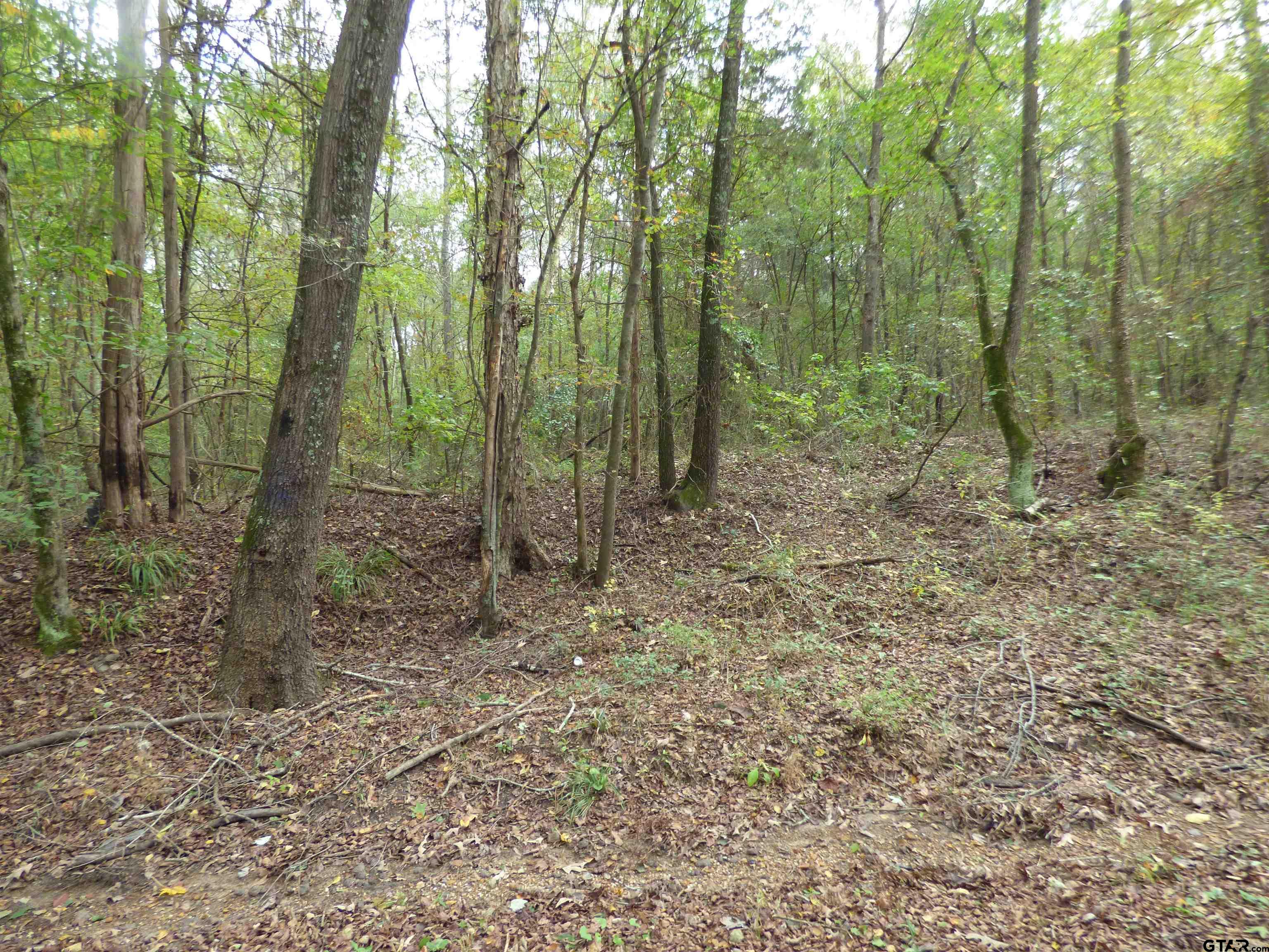 9371 County Road 3416