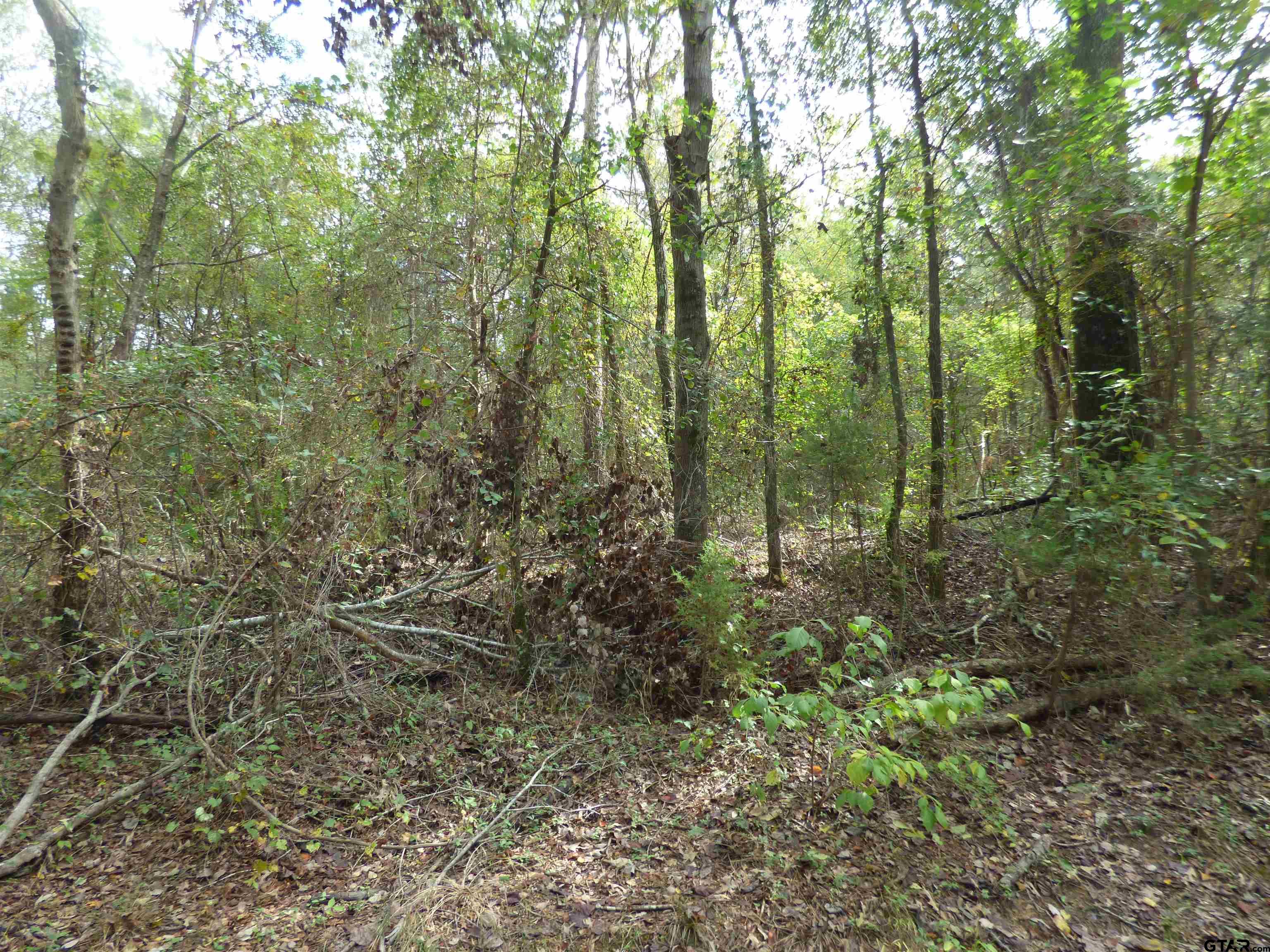 9371 County Road 3416