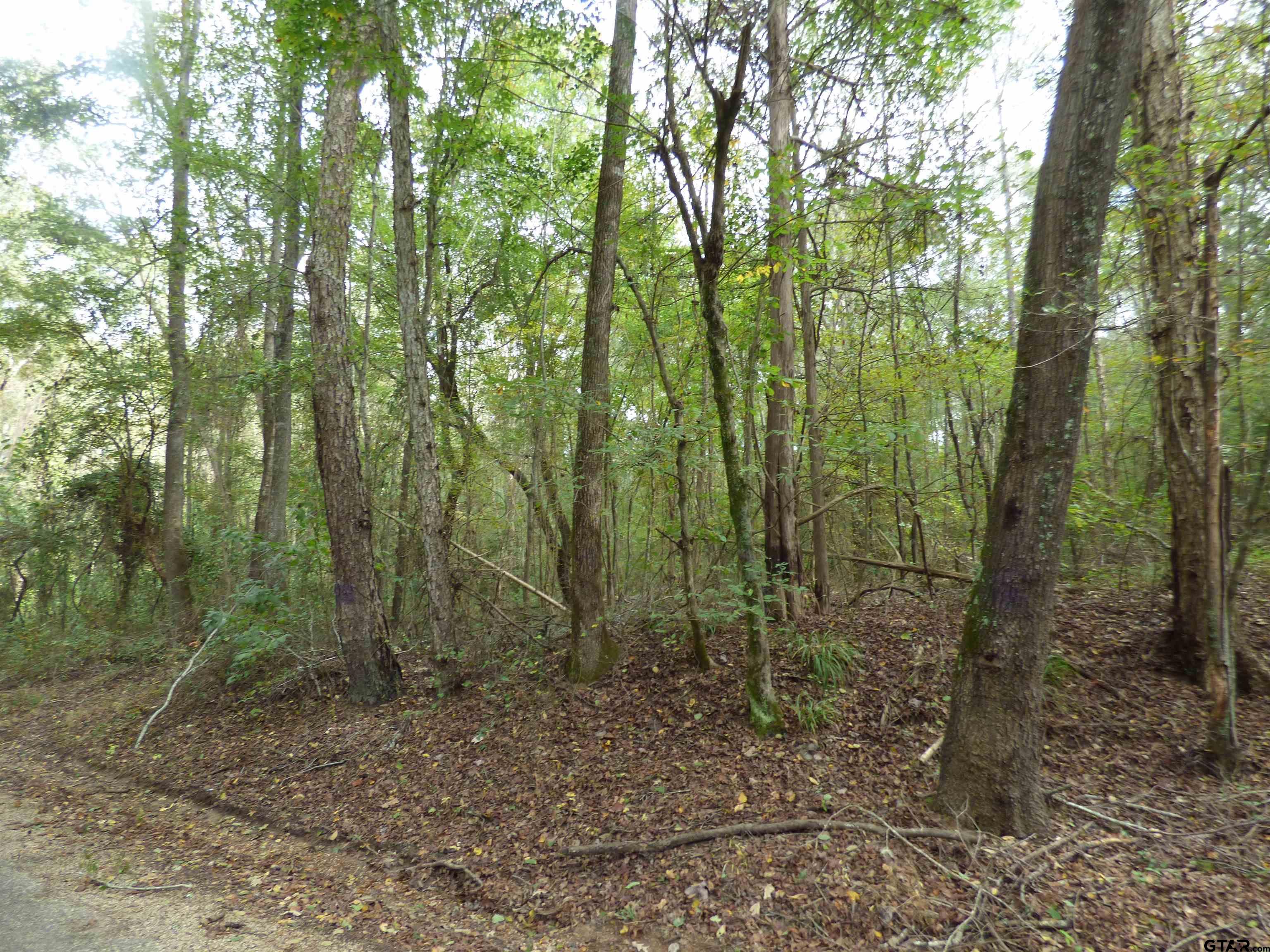 9371 County Road 3416