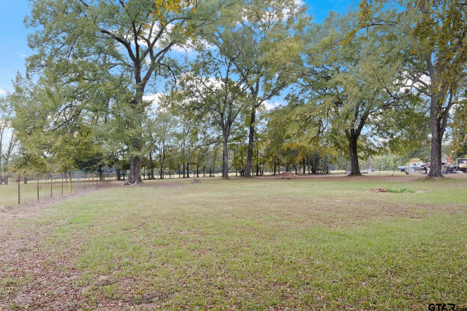 229 County Road 3215