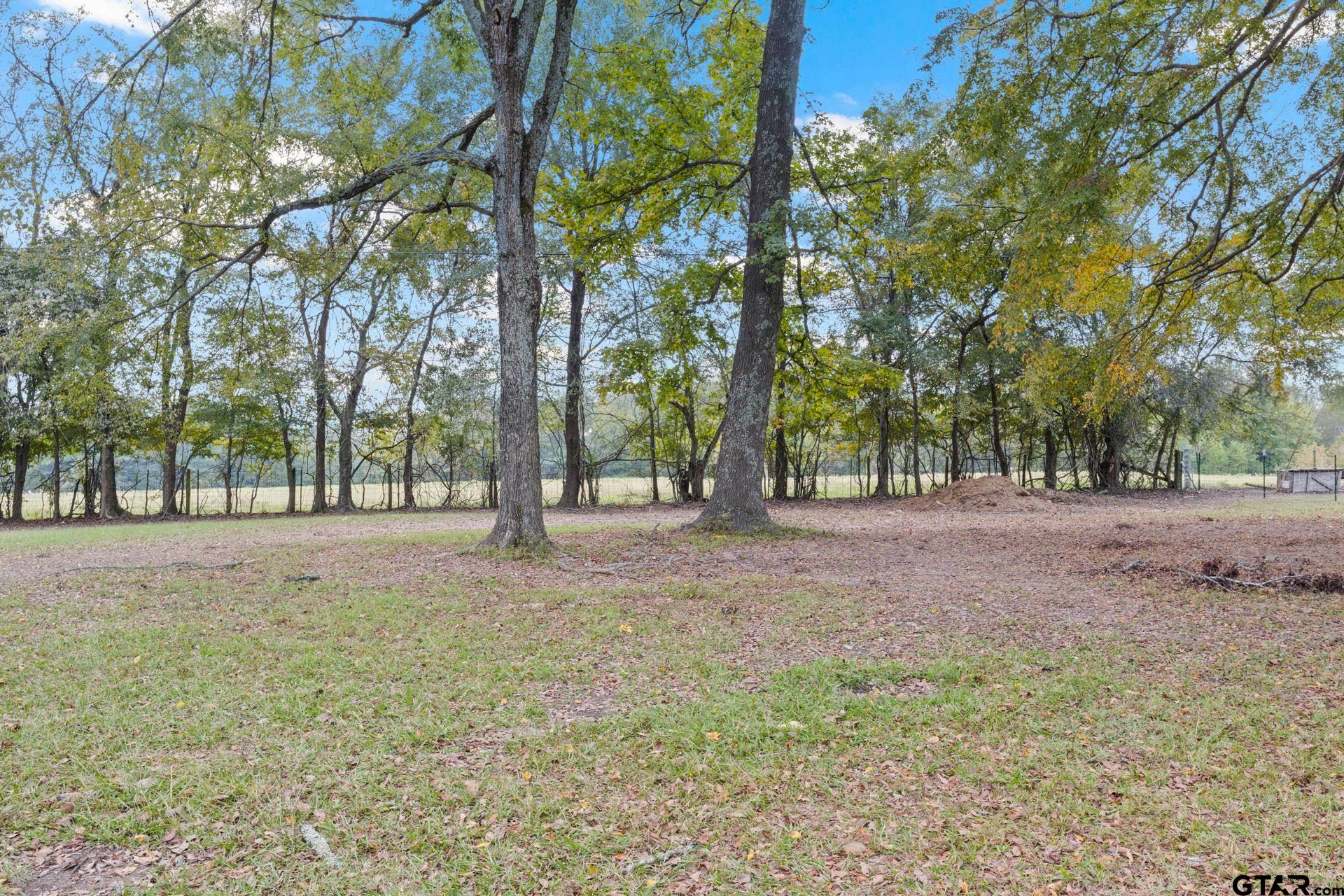 229 County Road 3215
