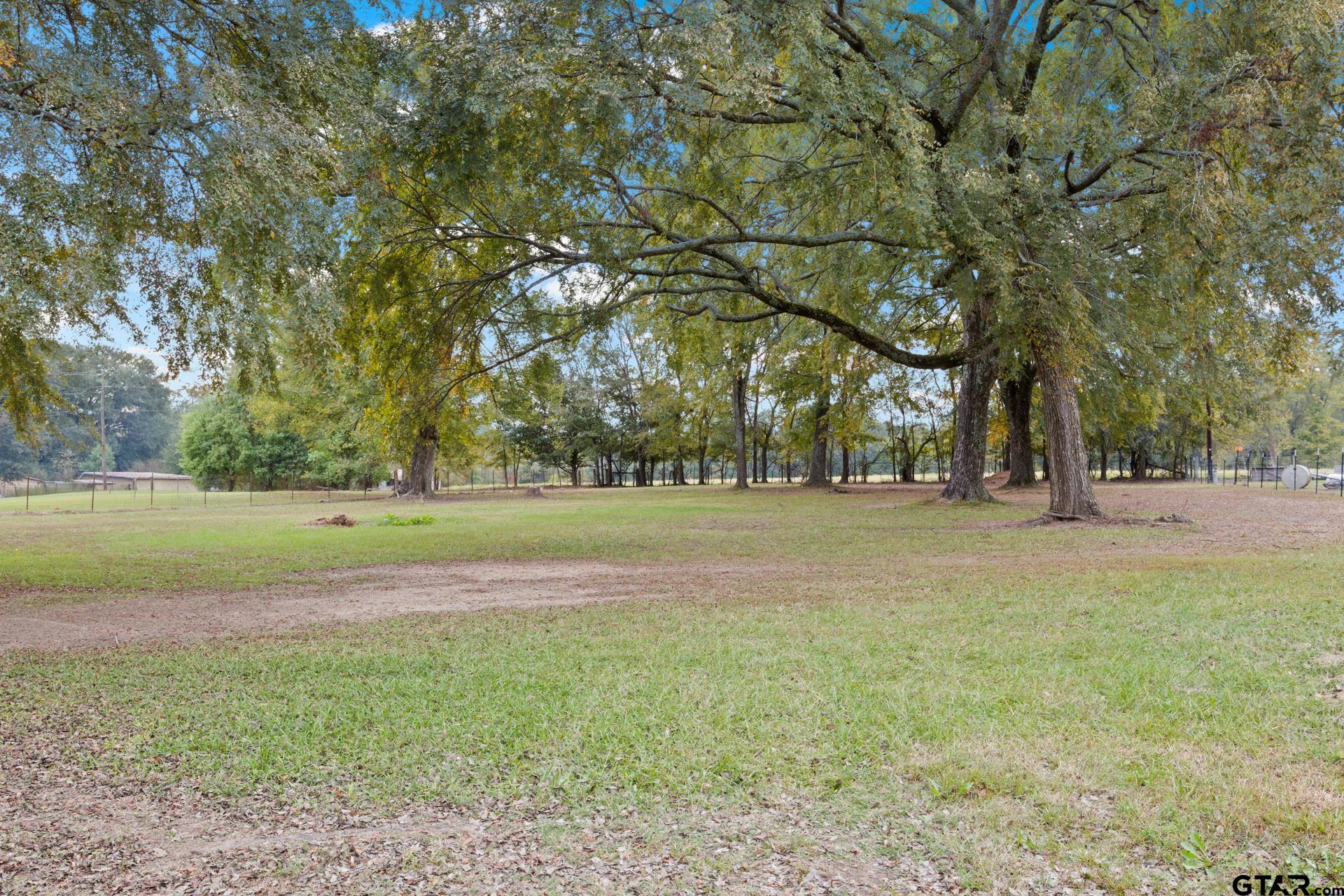 229 County Road 3215