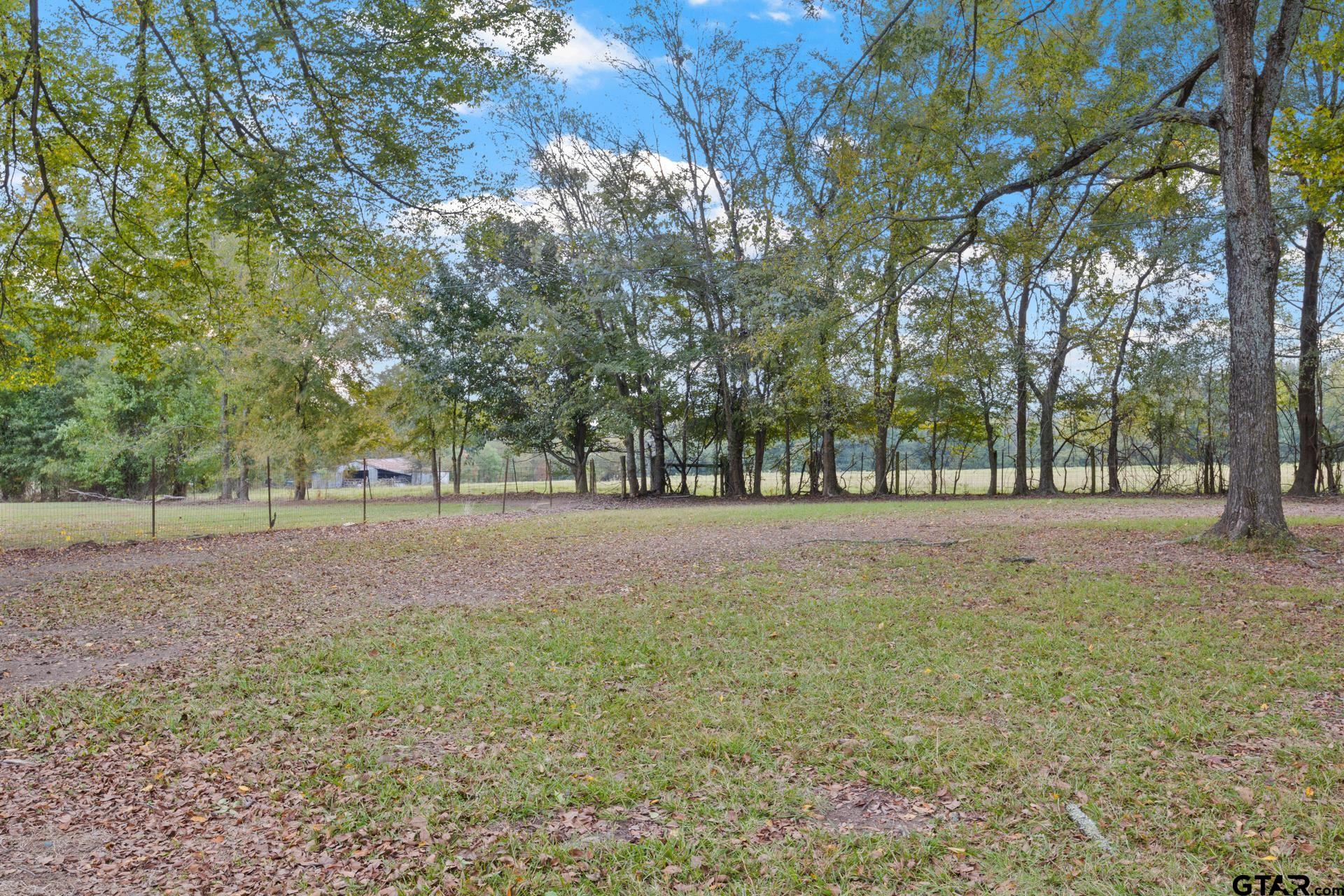 229 County Road 3215