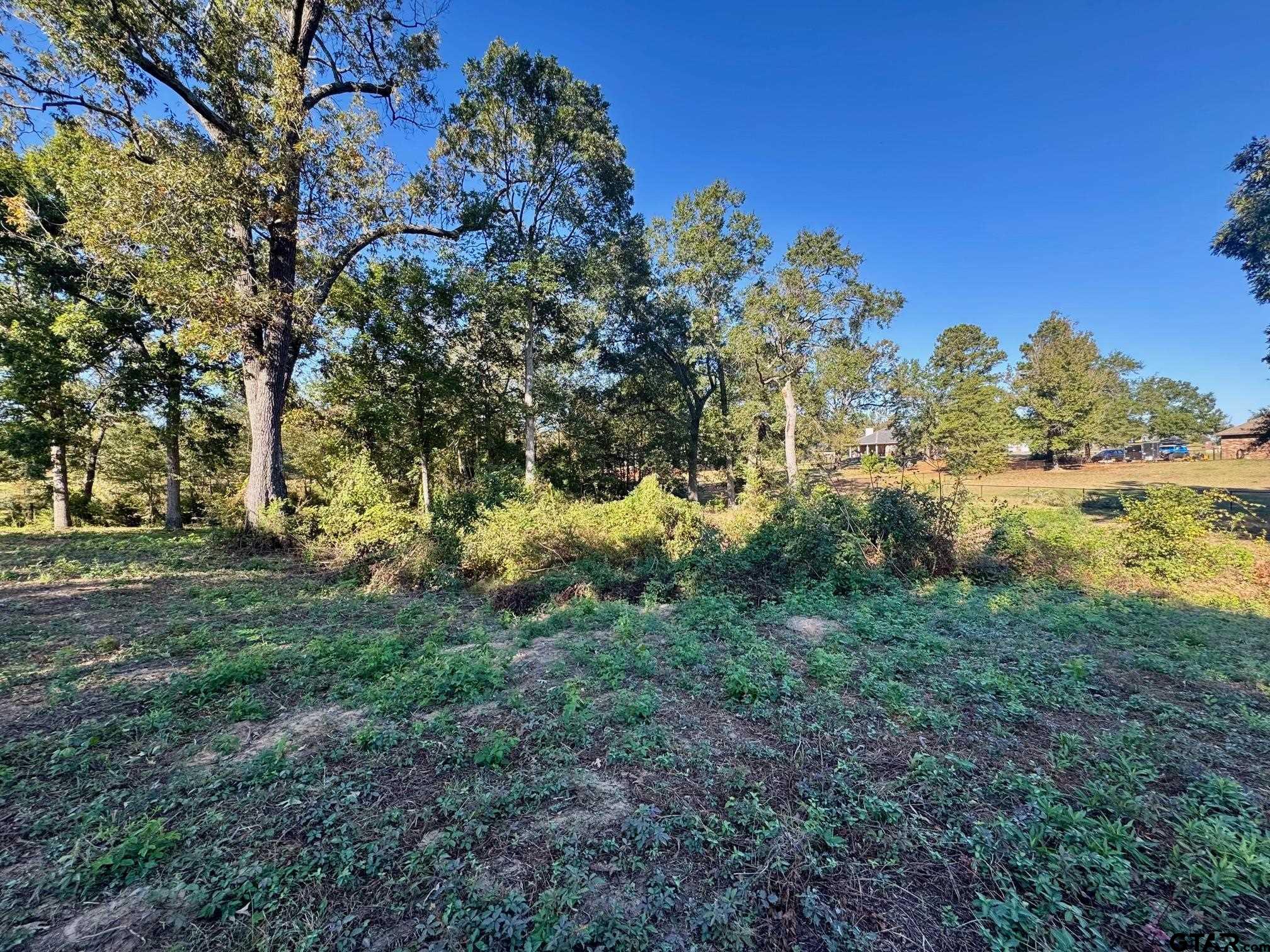 Lot 18 County Road 1216