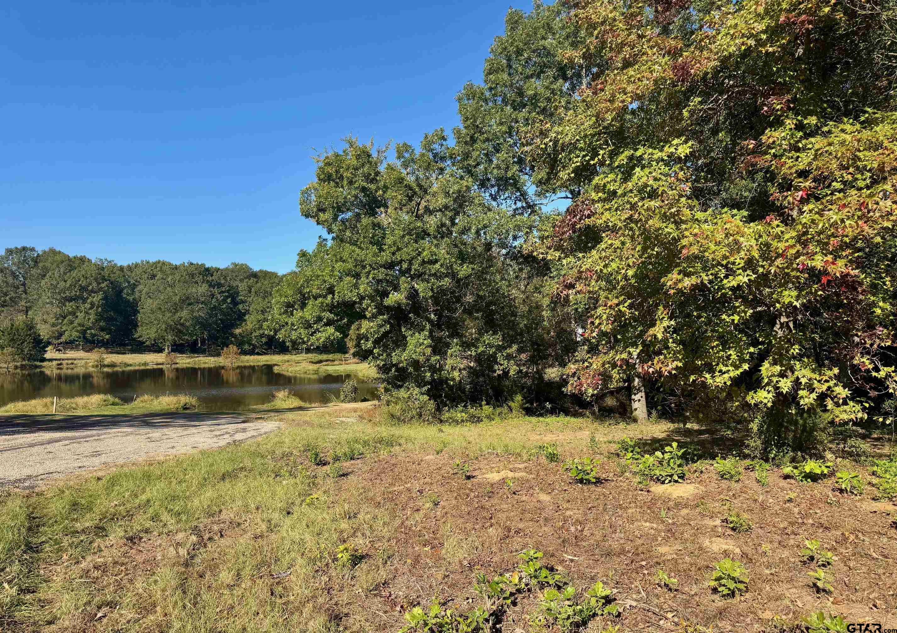 Lot 18 County Road 1216