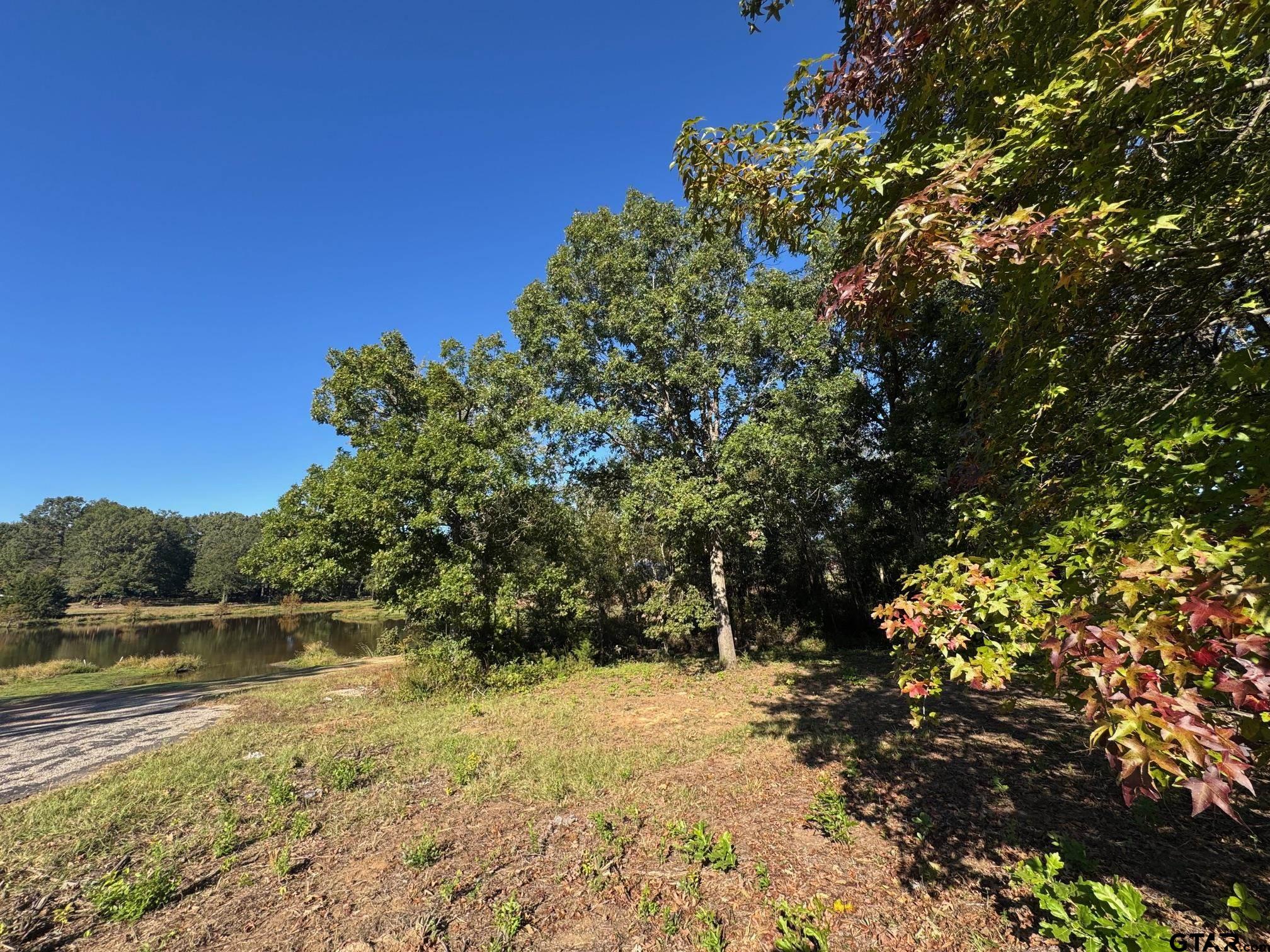 Lot 18 County Road 1216