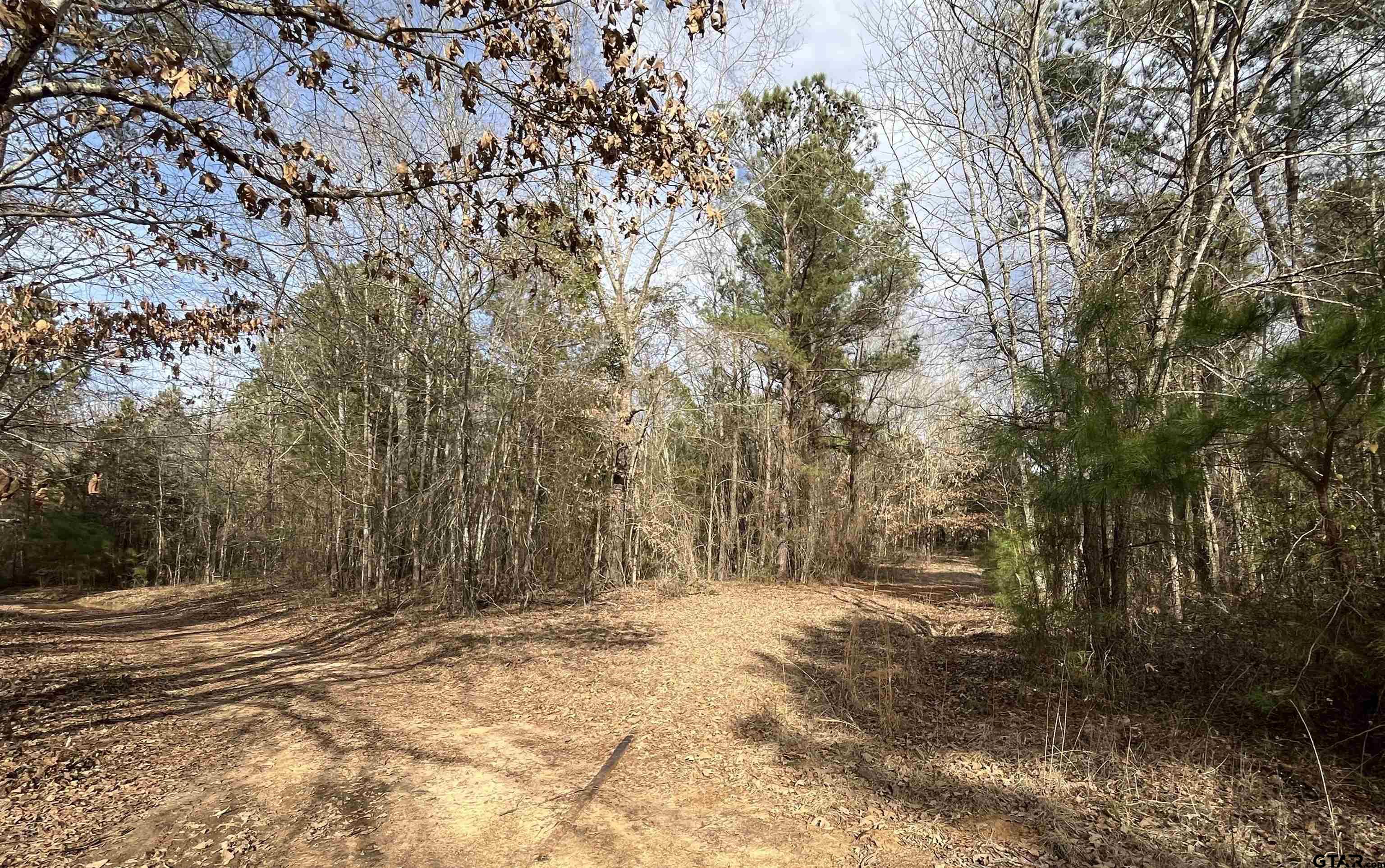TBD Venus Rd