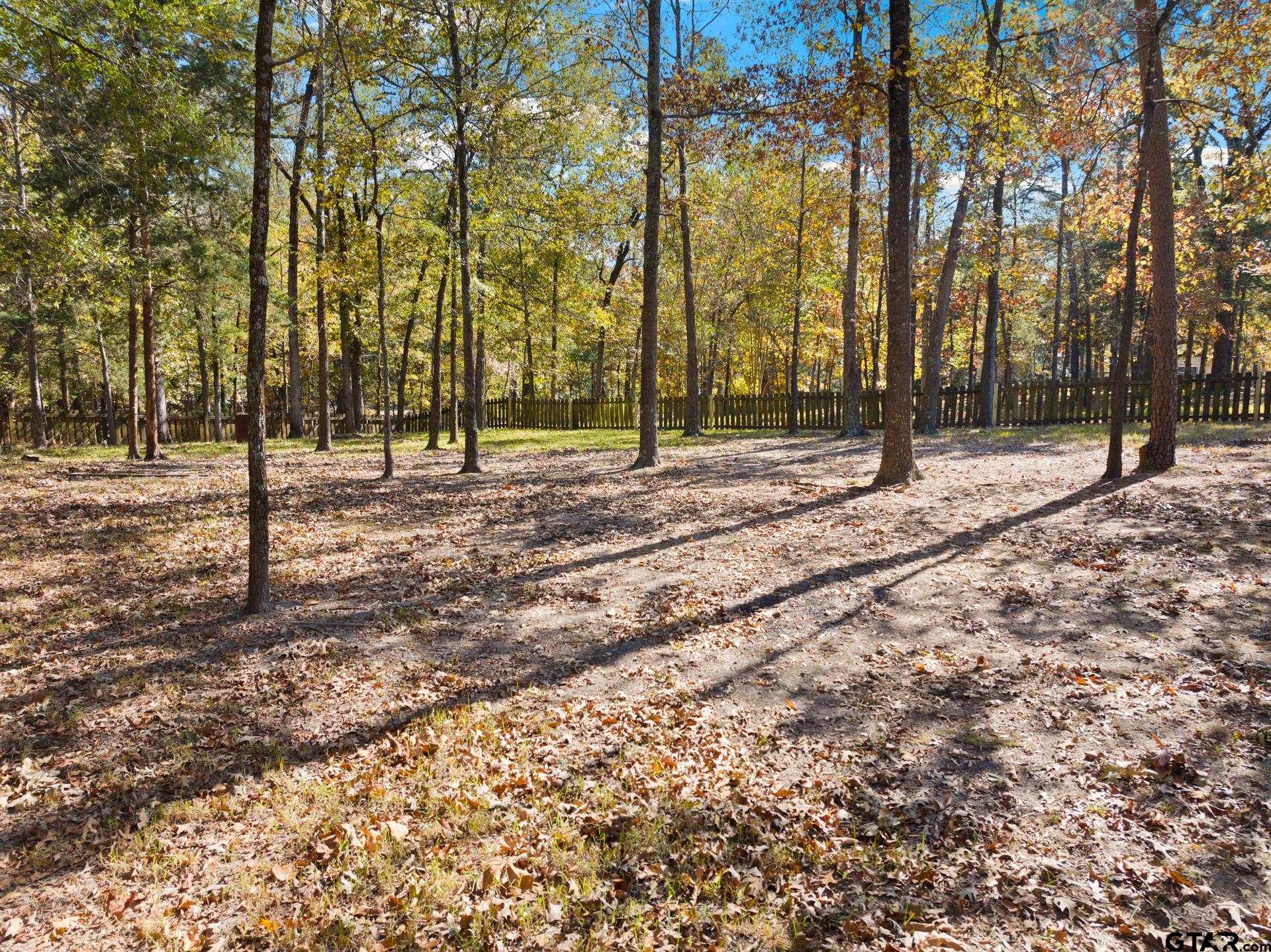 153 County Road 2433