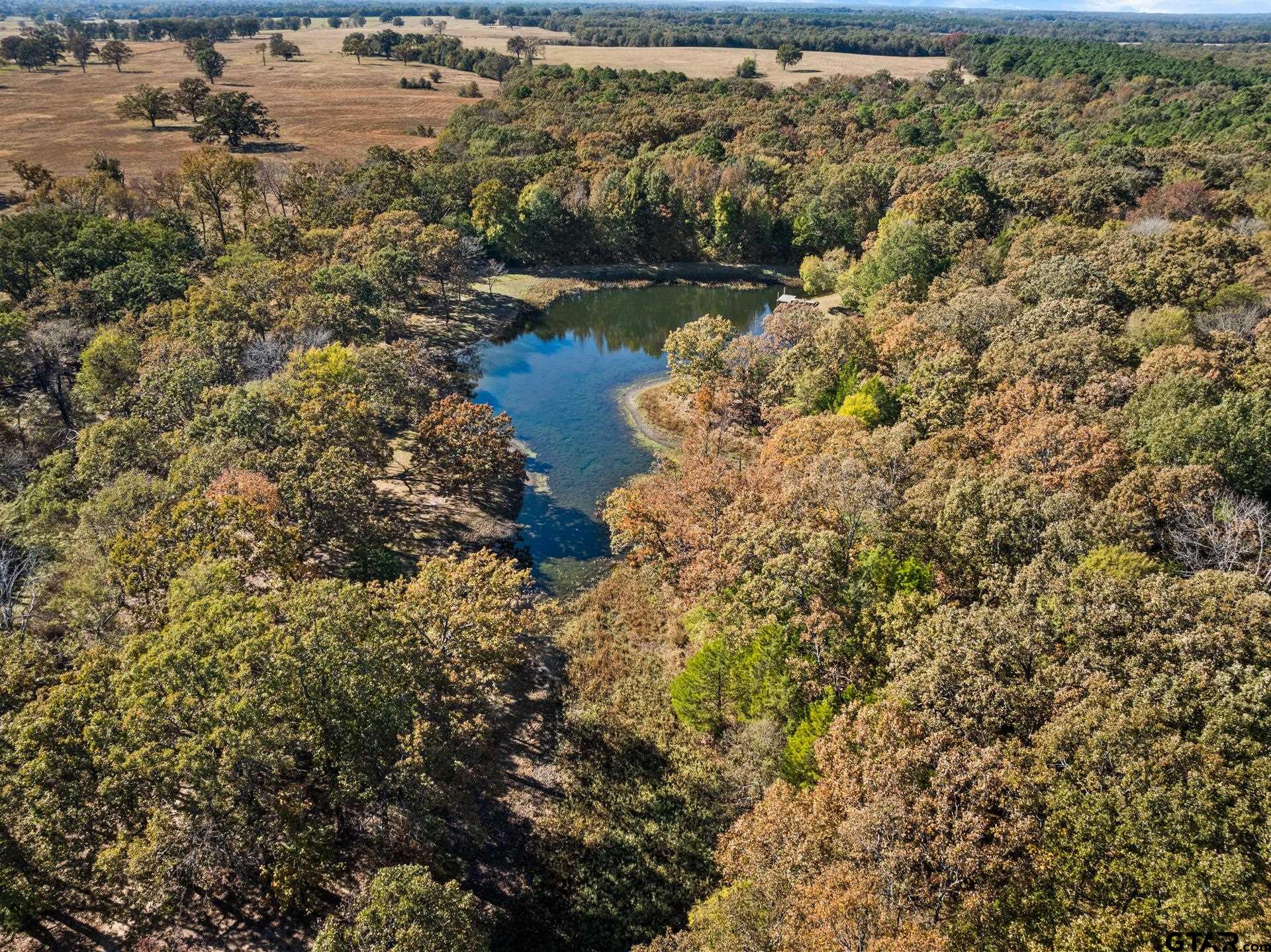 1227 County Road 3327