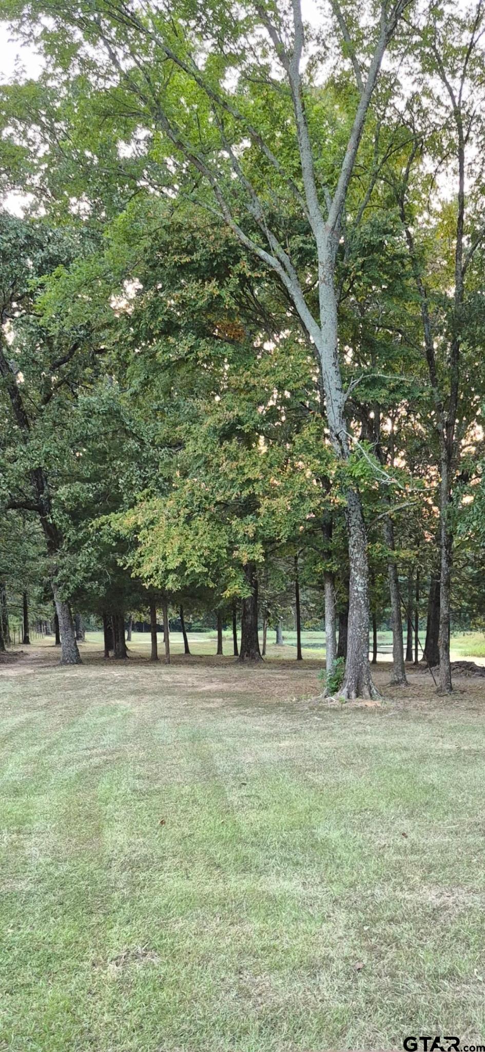 1227 County Road 3327