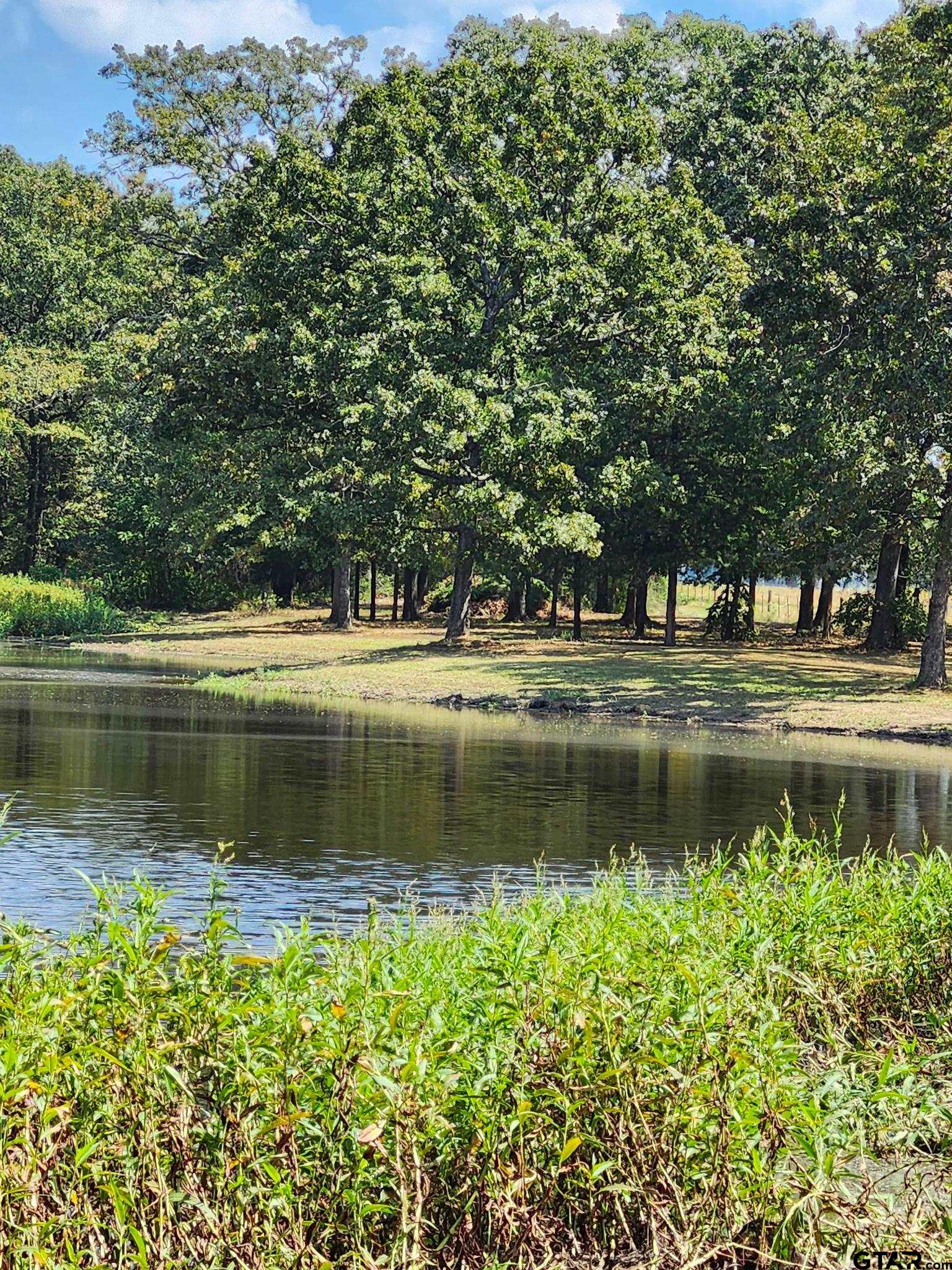 1227 County Road 3327