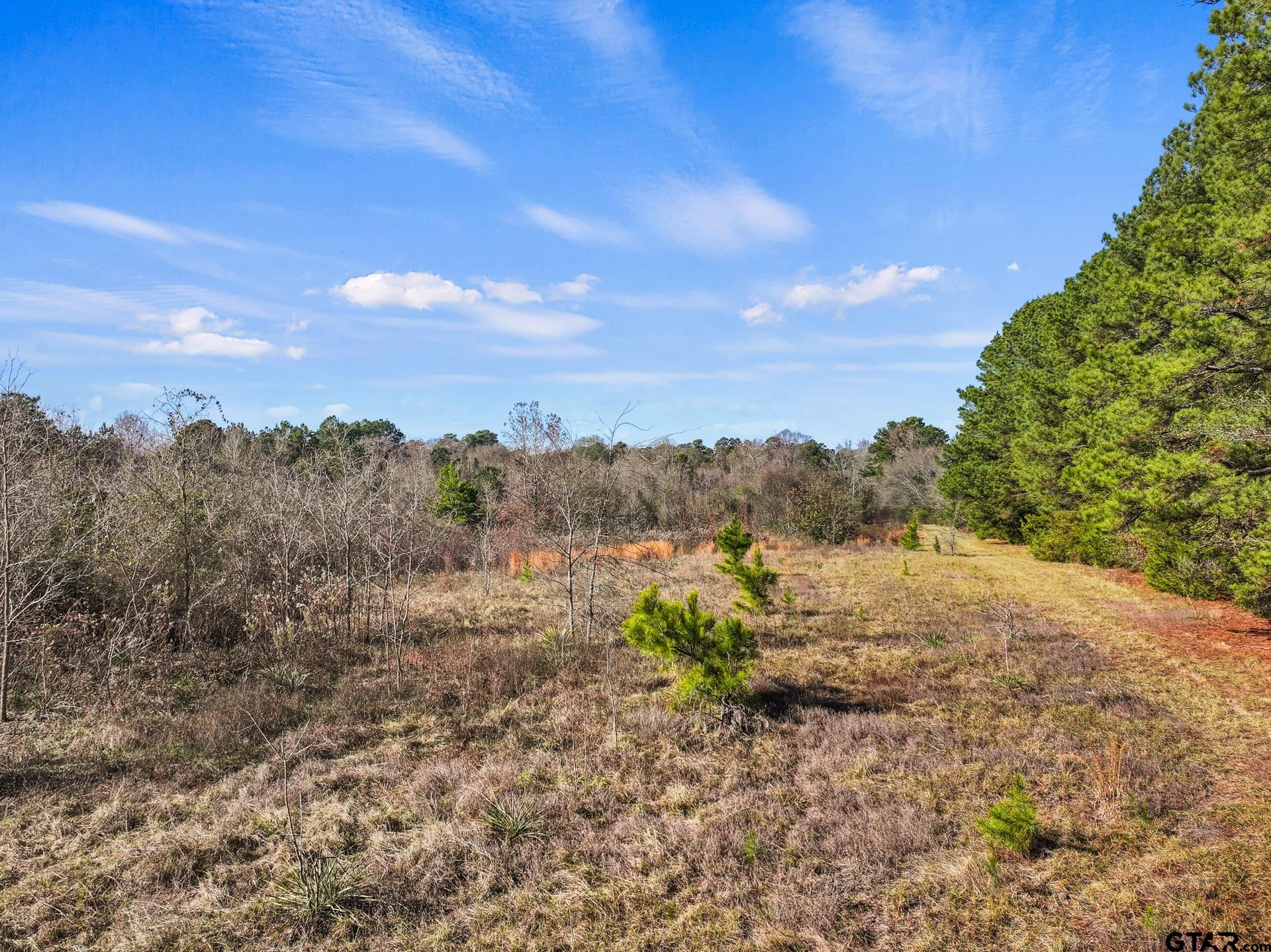 TBD County Road 2865