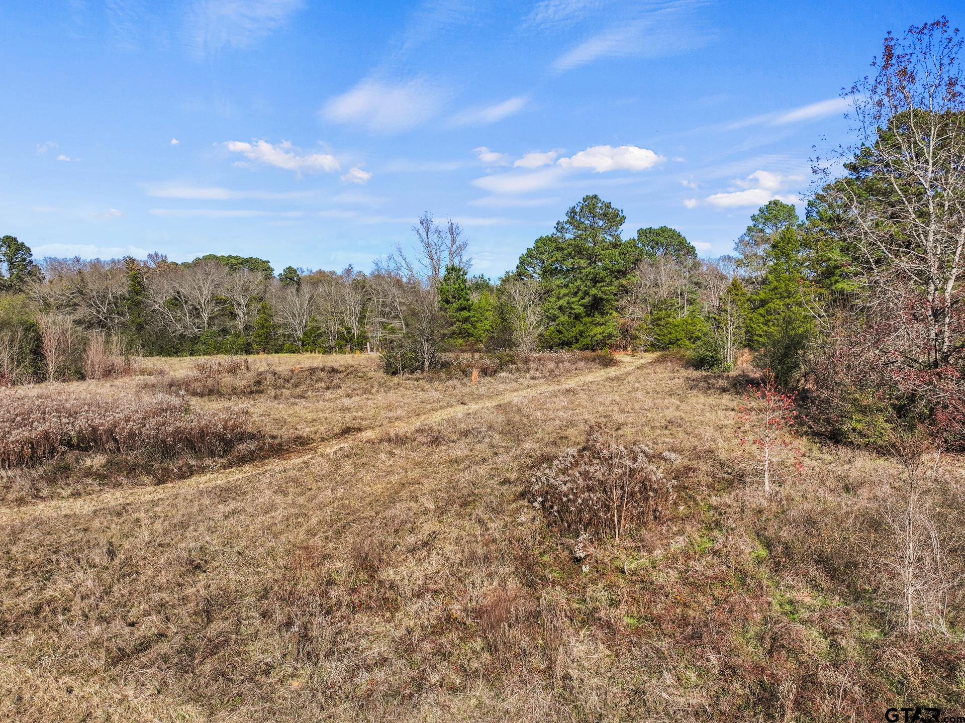 TBD County Road 2865