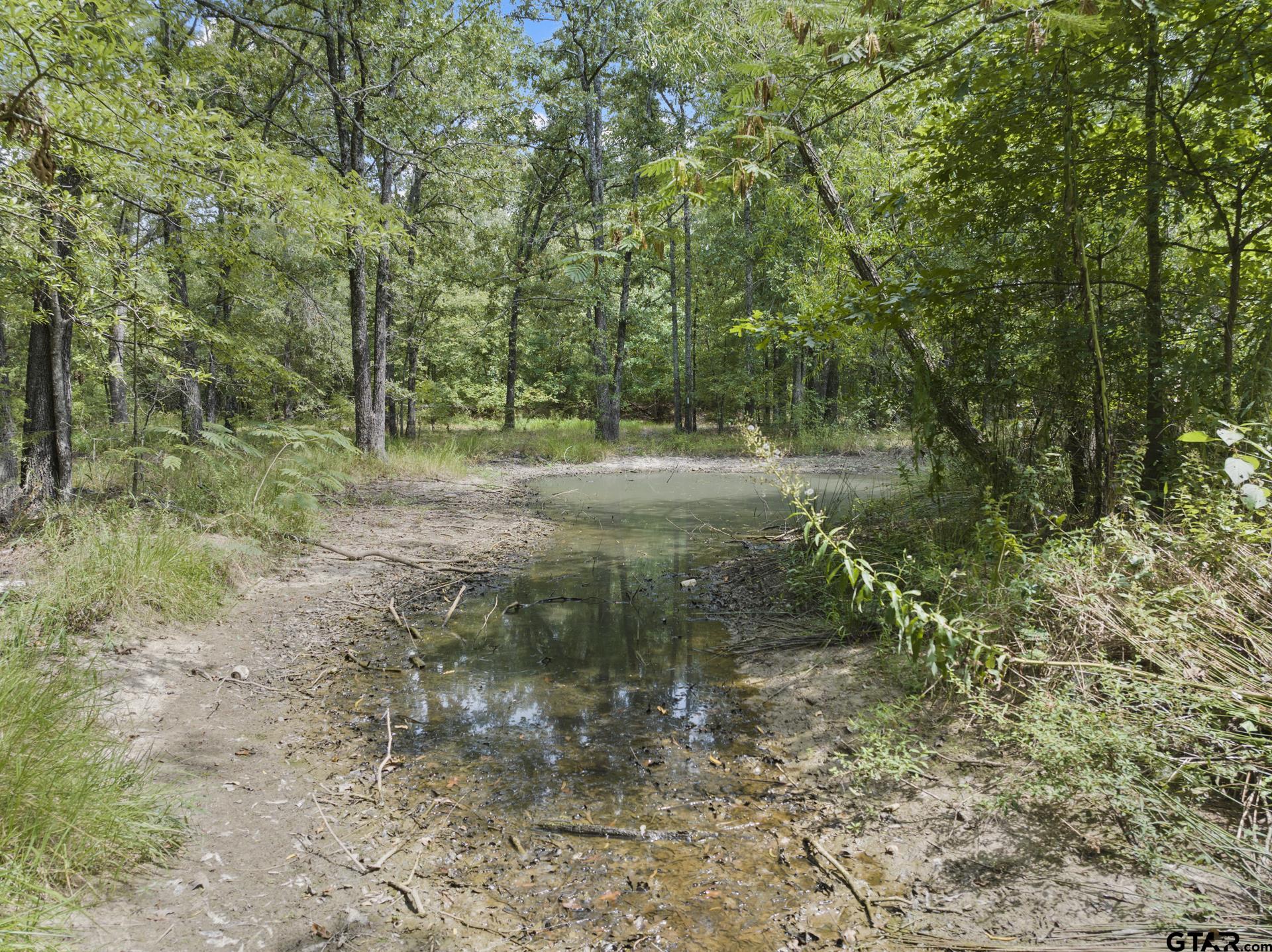 5536 County Road 1905