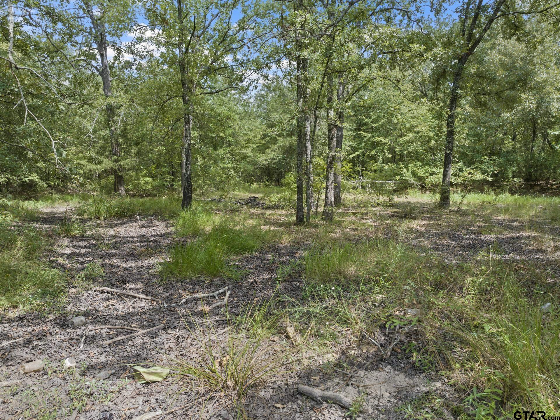 5536 County Road 1905