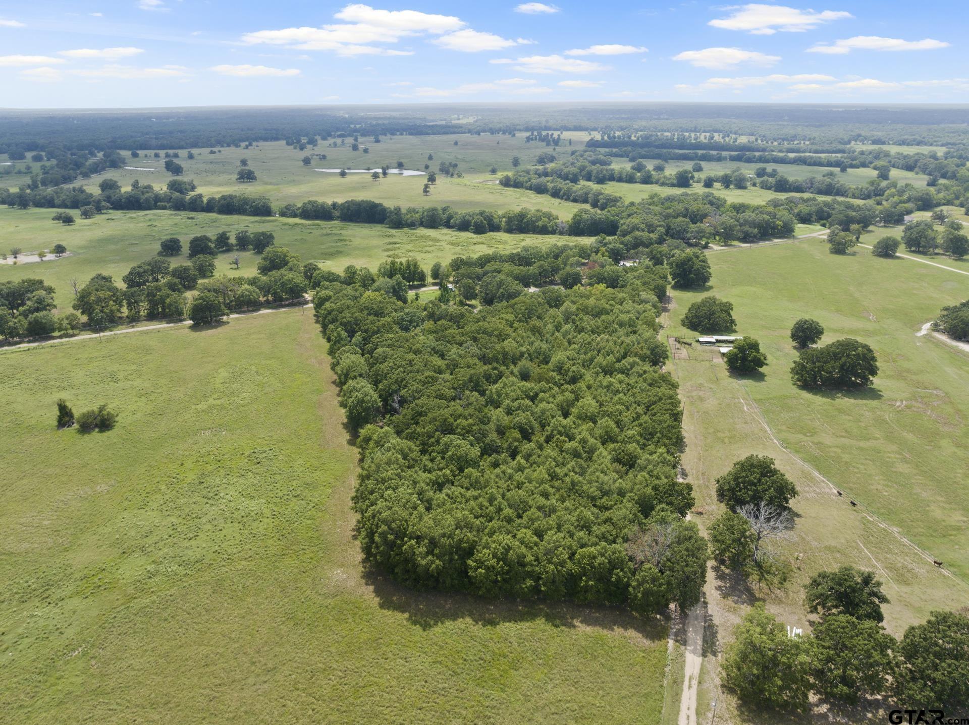 5536 County Road 1905