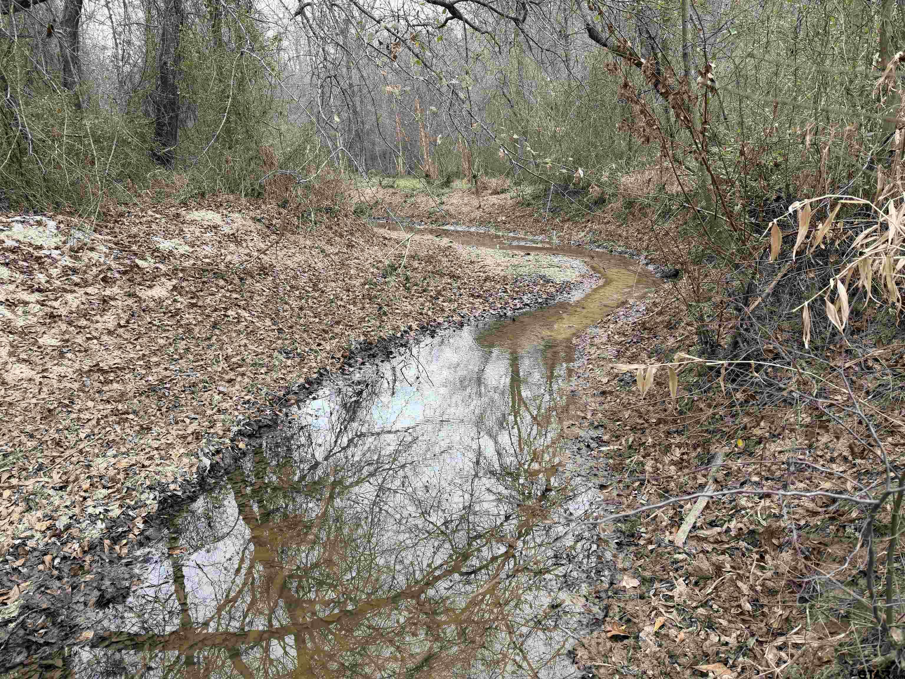 11501 Waterbuck Road