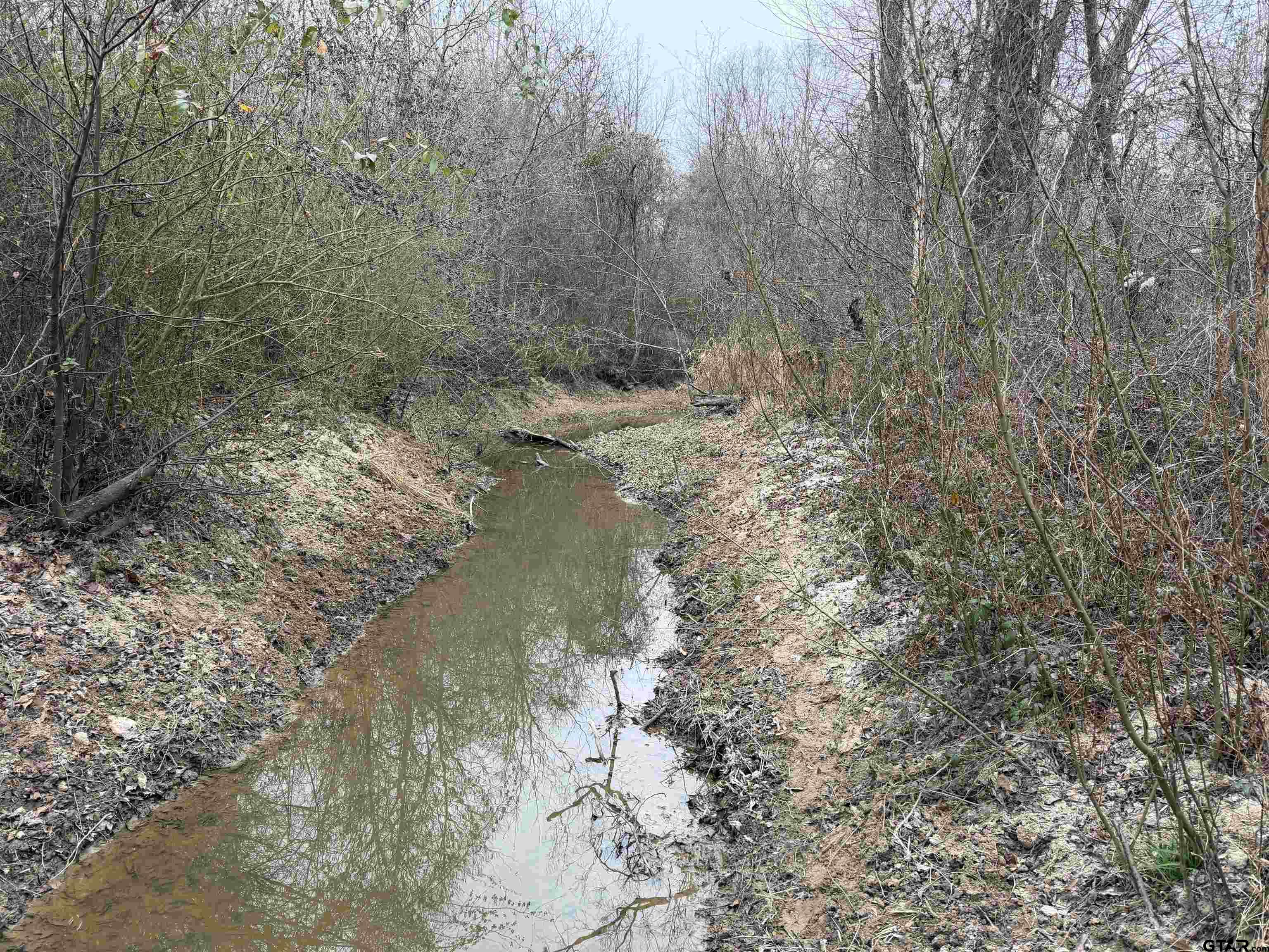 11501 Waterbuck Road