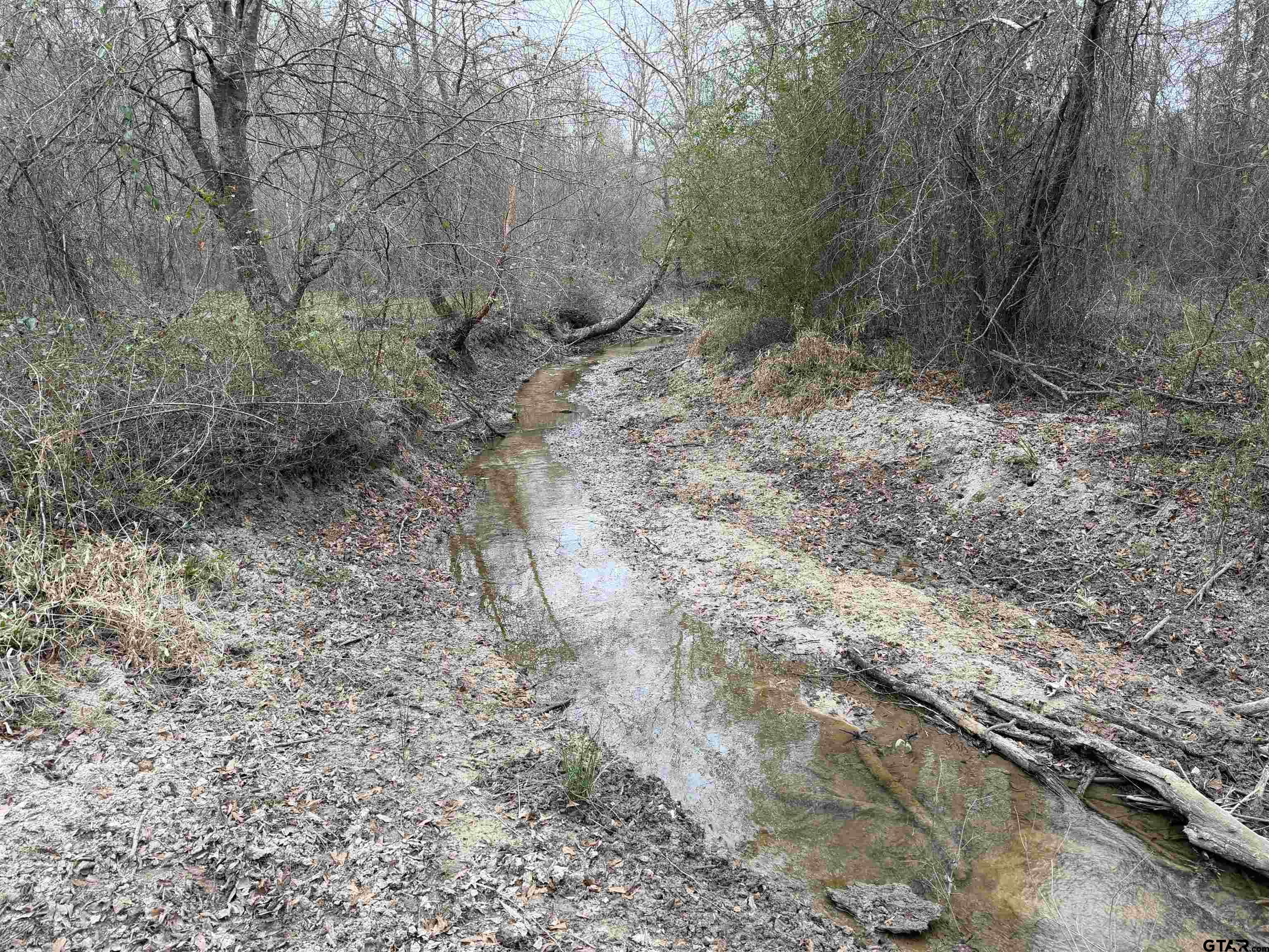 11501 Waterbuck Road