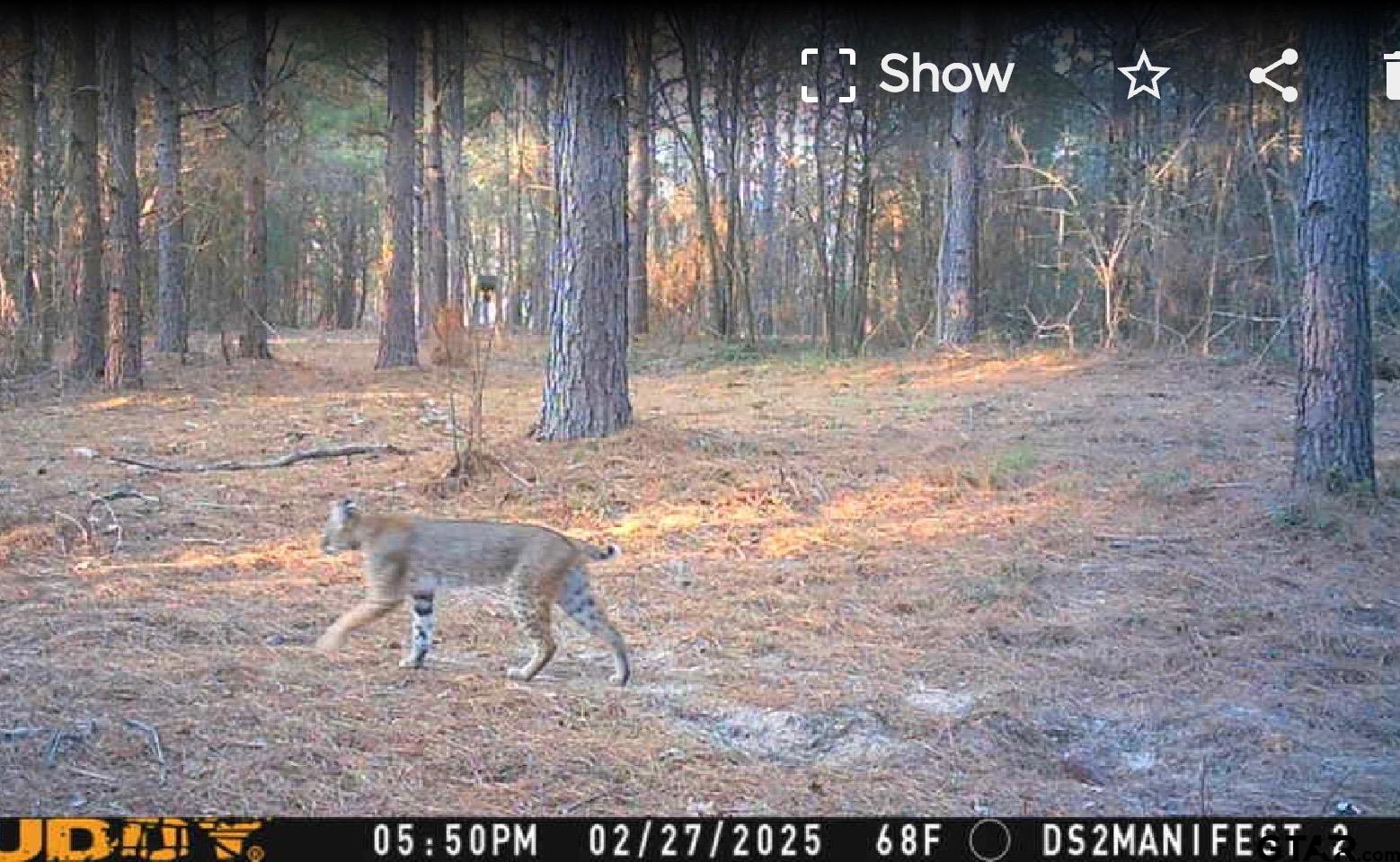 11501 Waterbuck Road