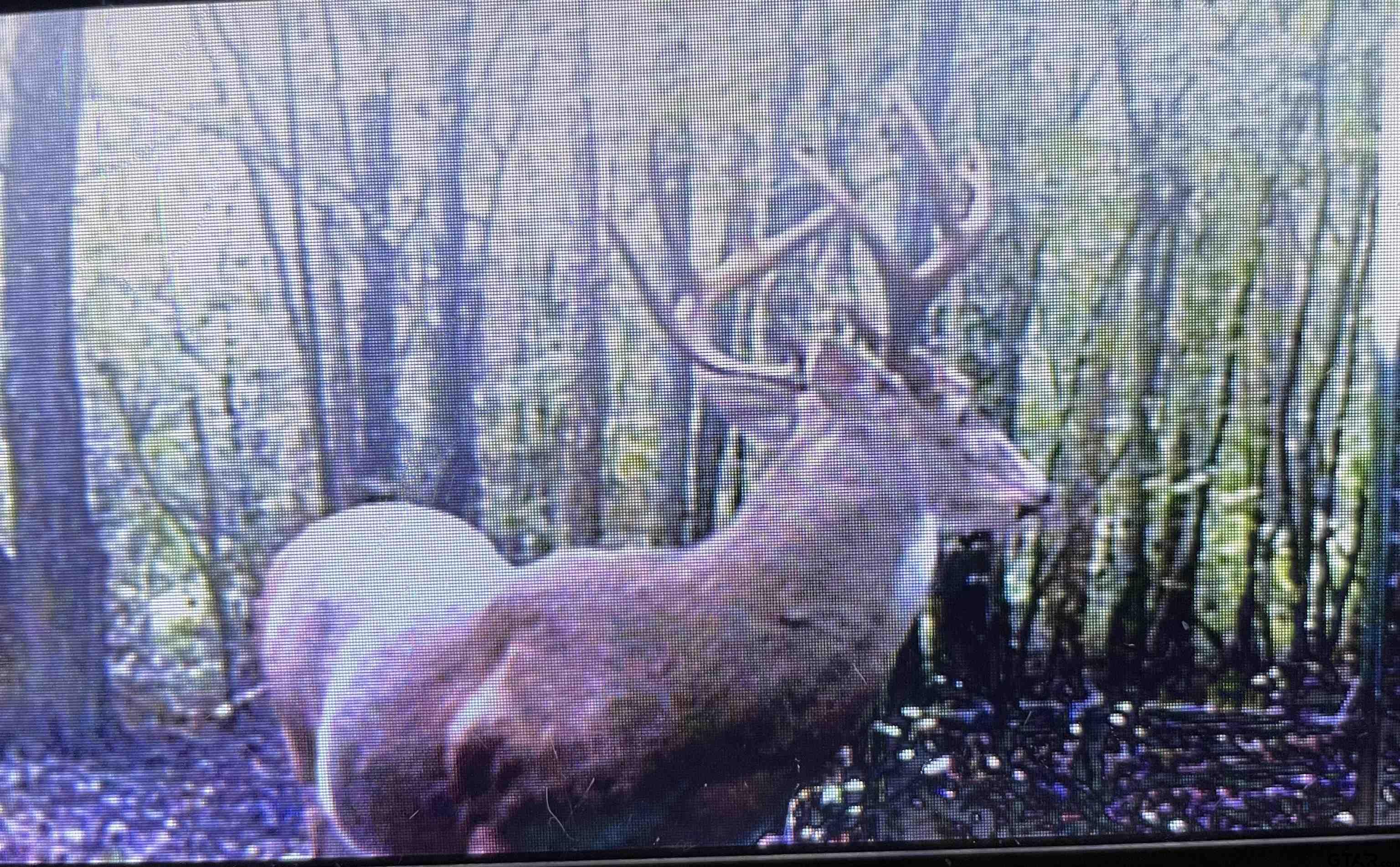 11501 Waterbuck Road