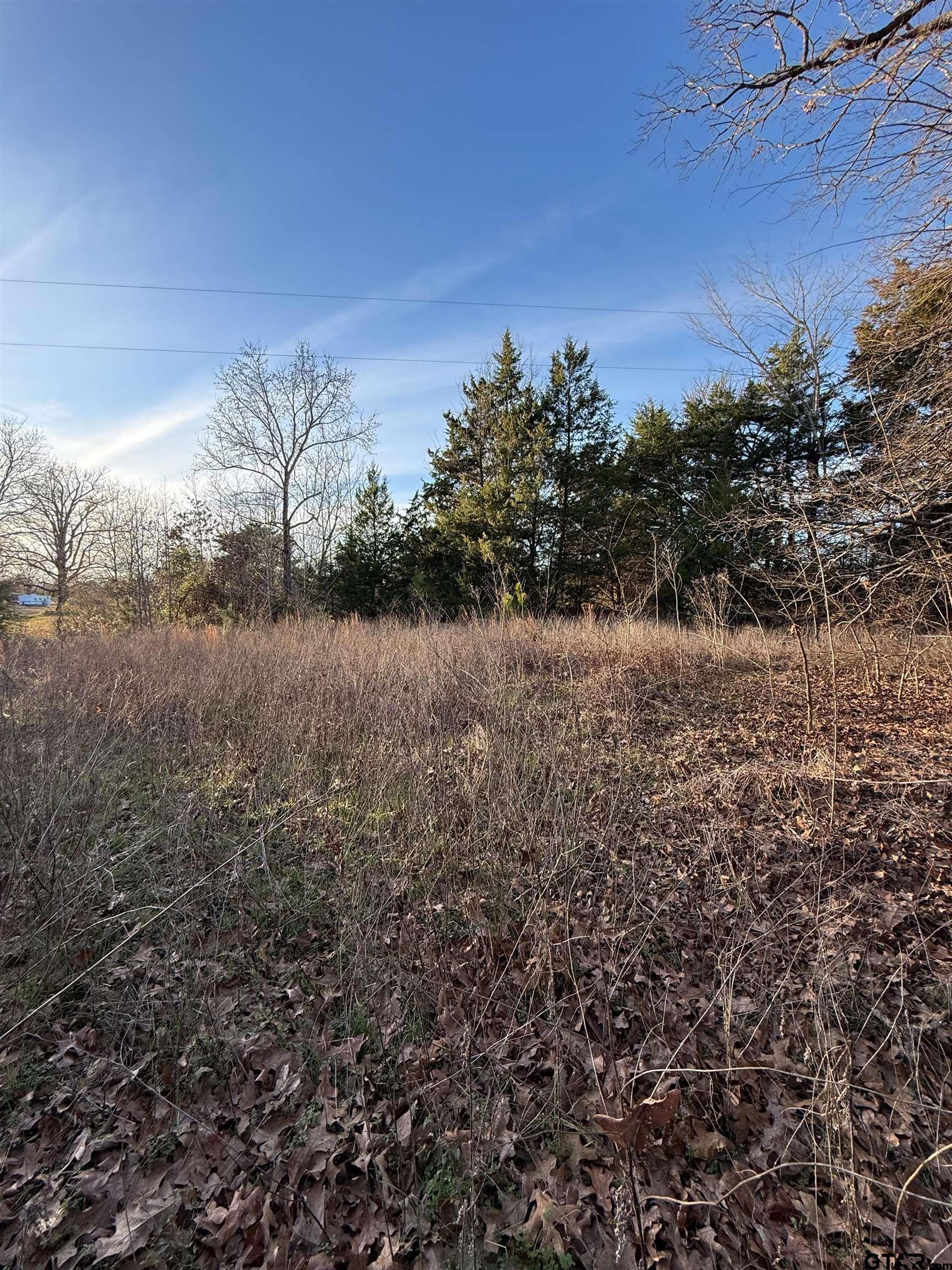 TBD County Road 4950