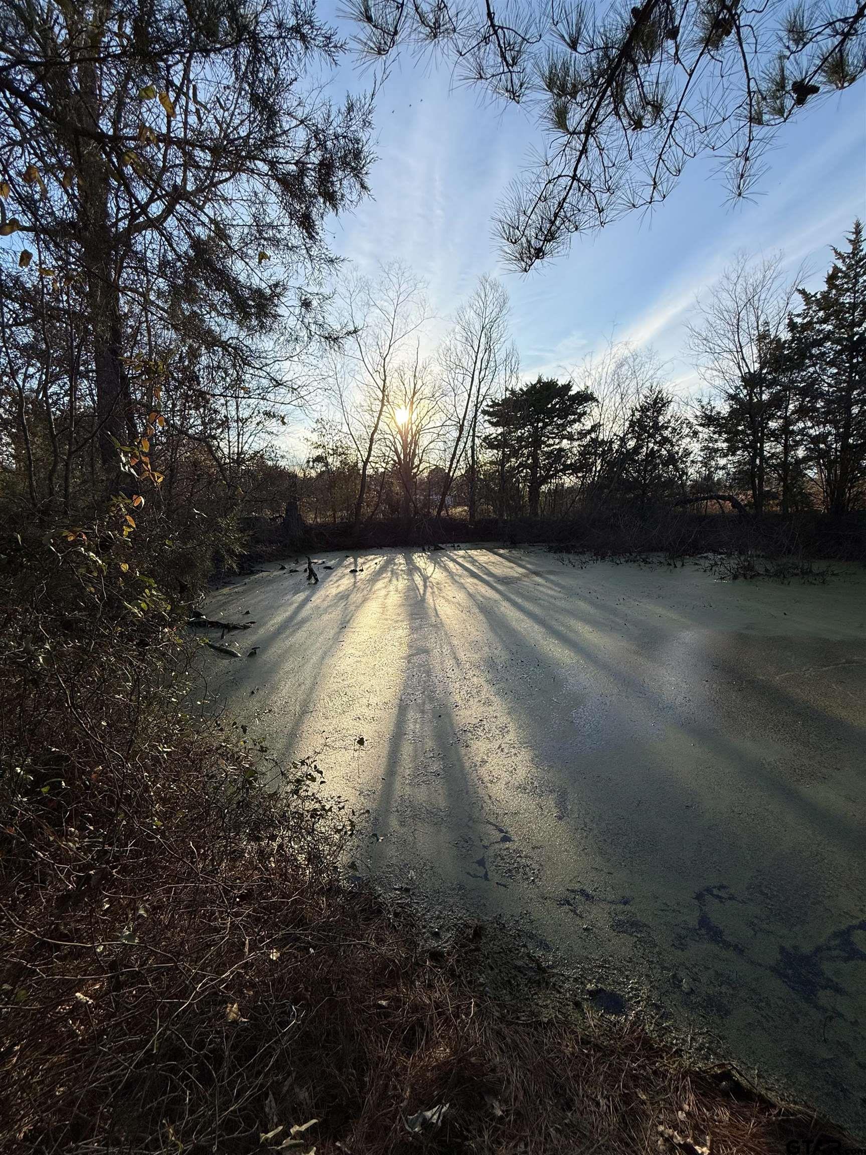 TBD County Road 4950