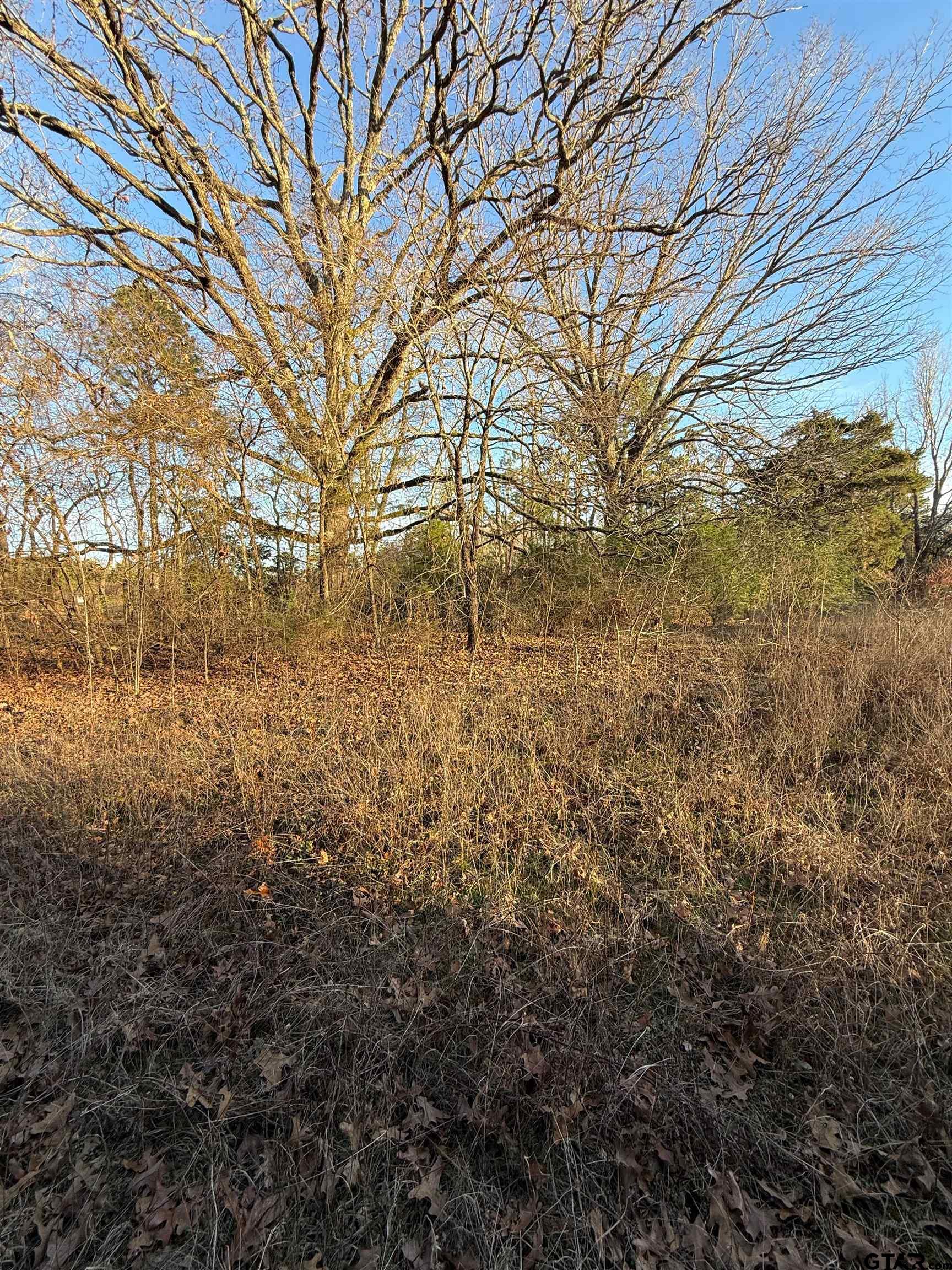 TBD County Road 4950