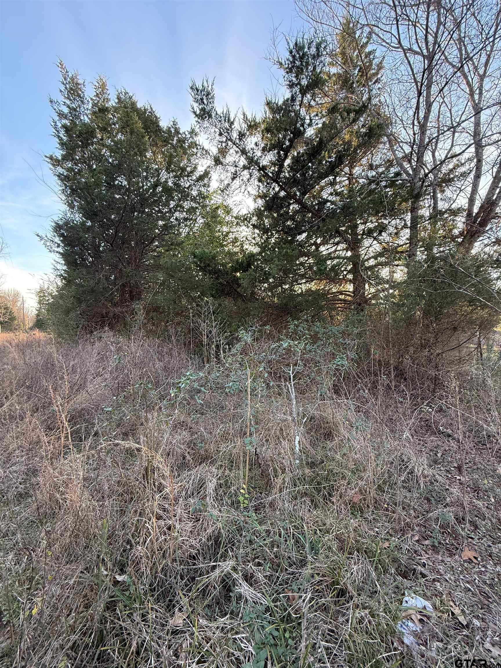 TBD County Road 4950