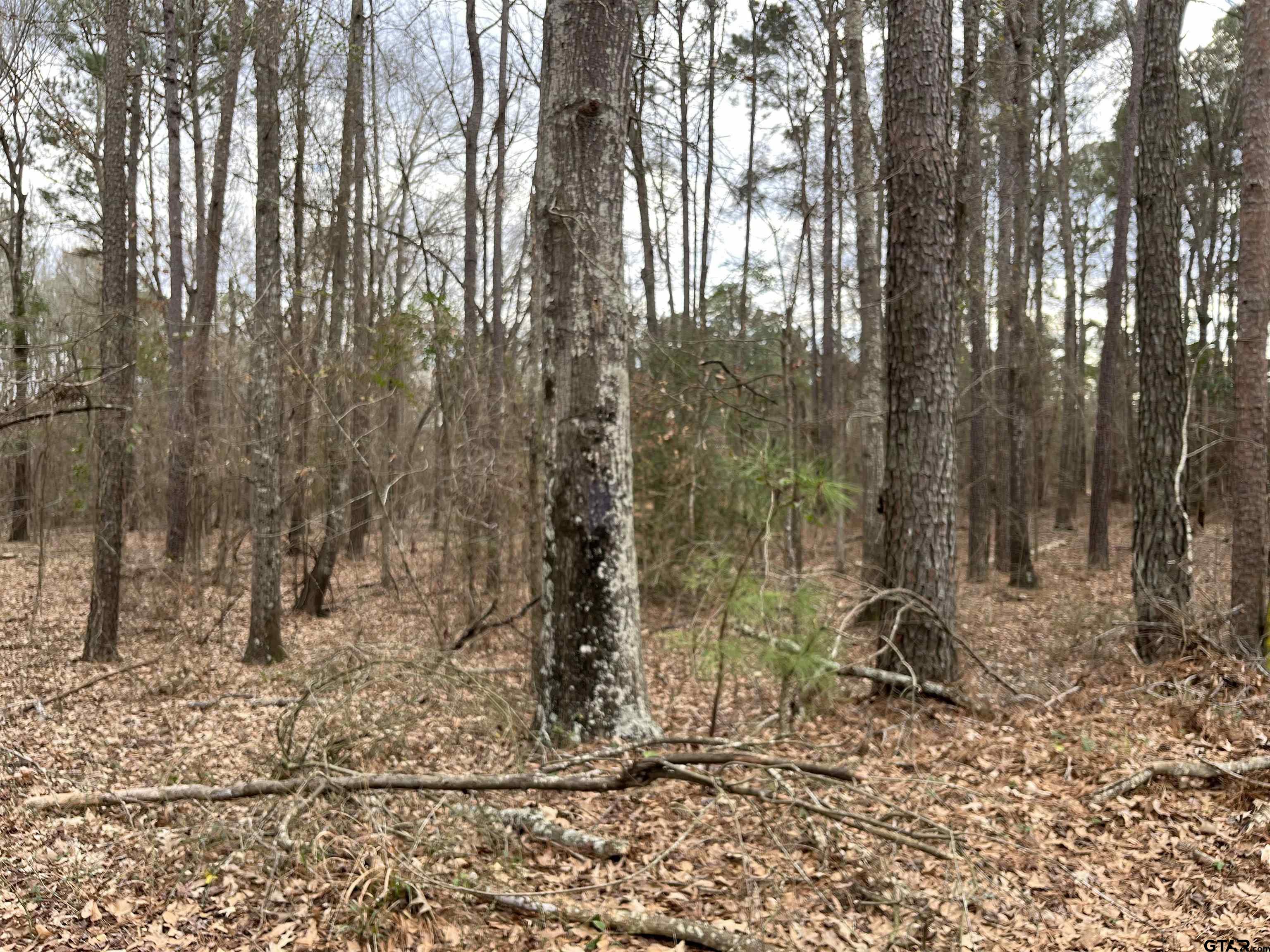 Tract 2 Venus Rd