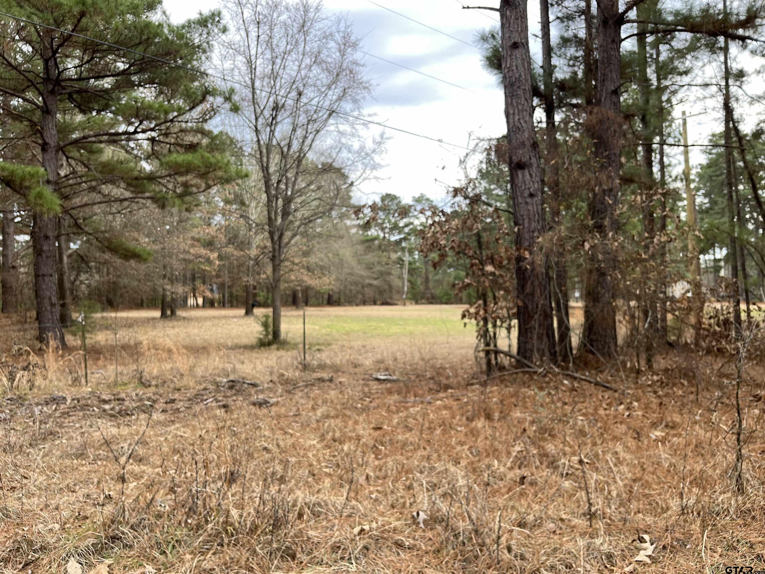 Tract 2 Venus Rd