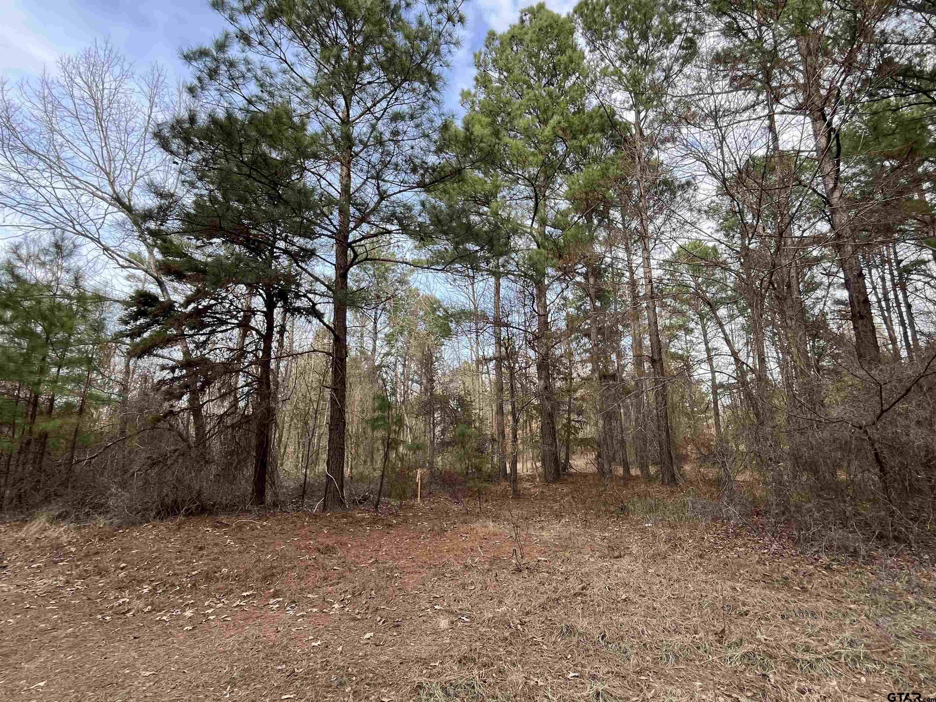 Tract 5 Venus Rd