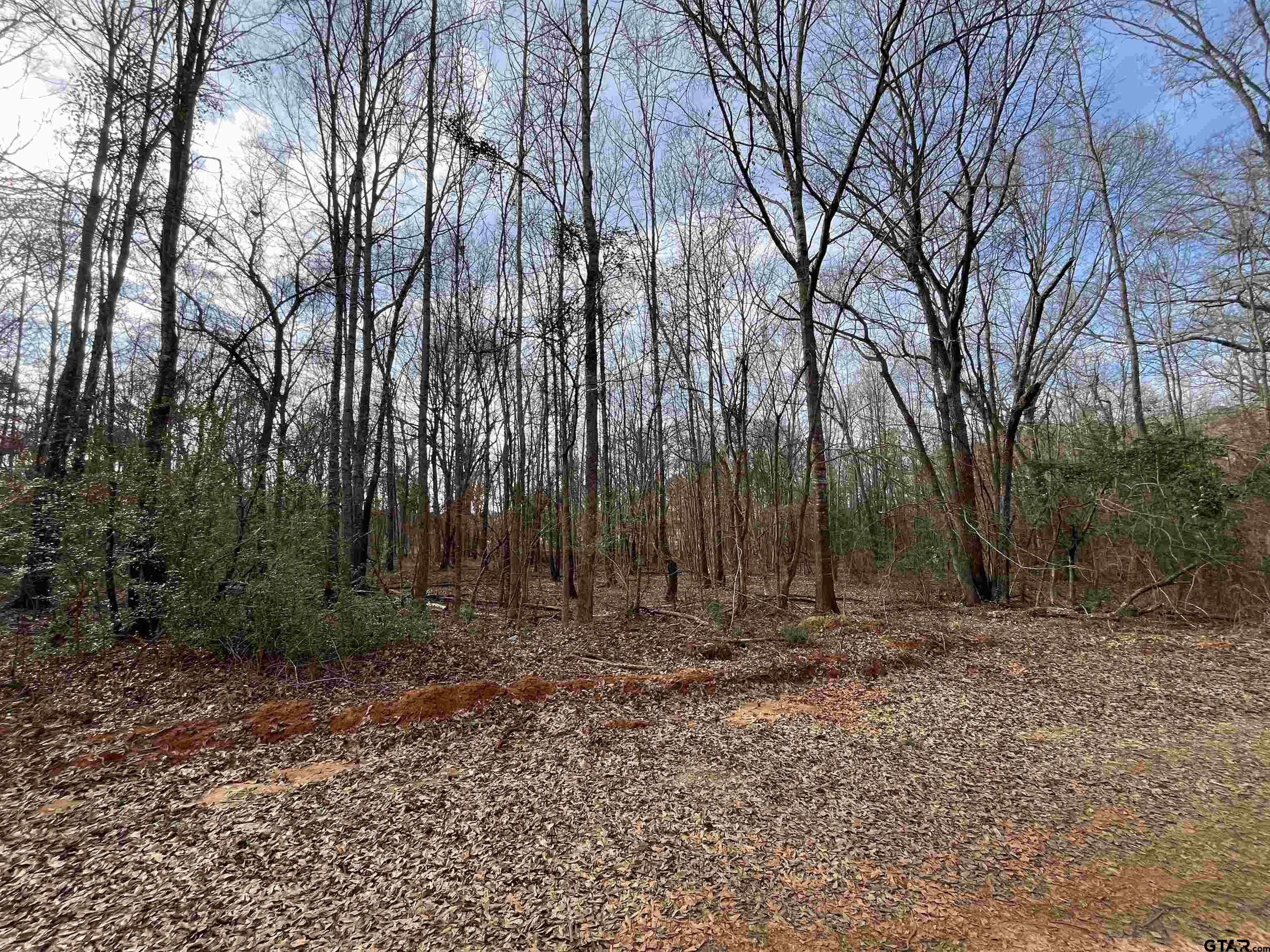 Tract 6 Venus Rd