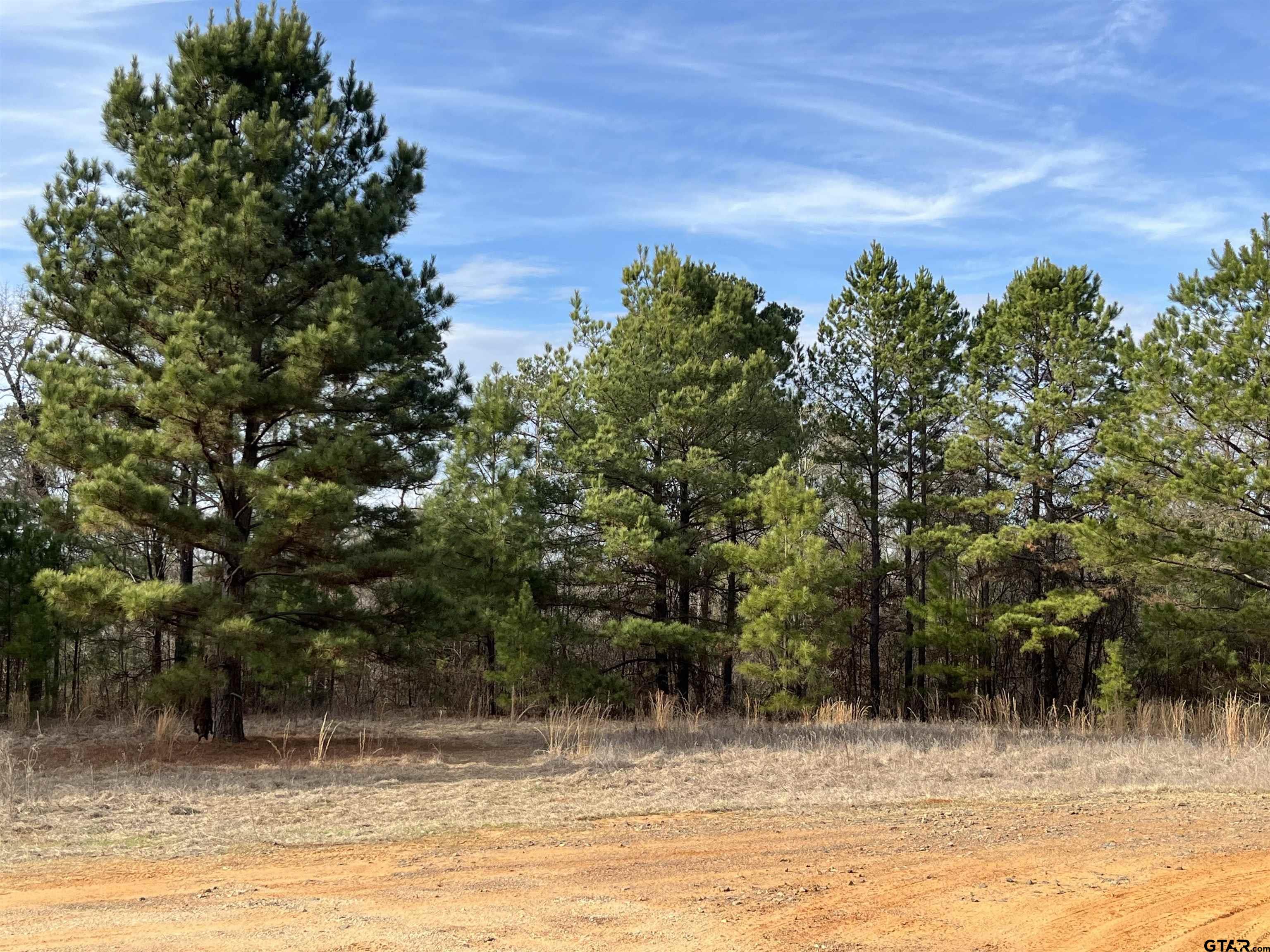 Tract 6 Venus Rd