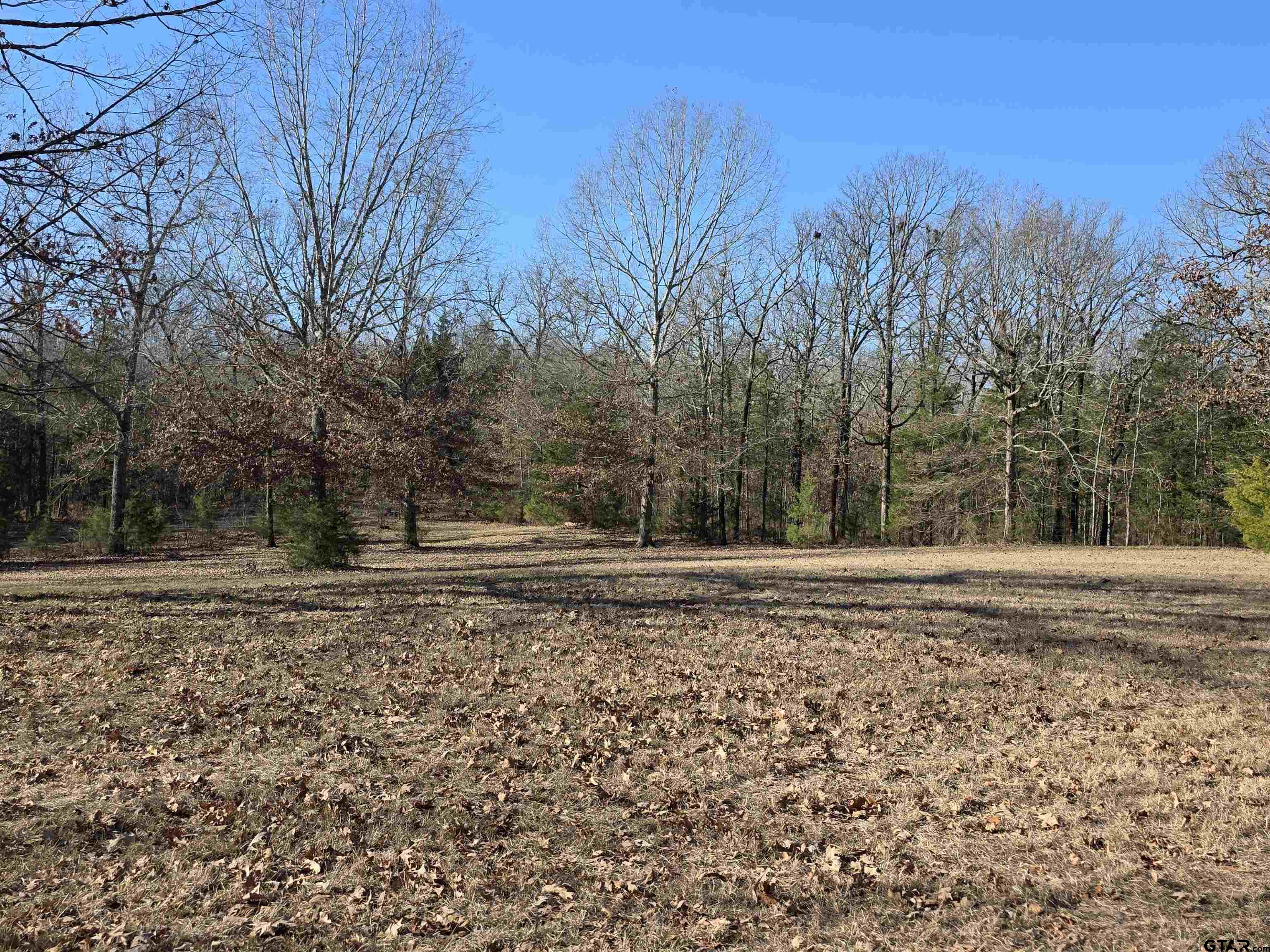 1191 County Road 3333