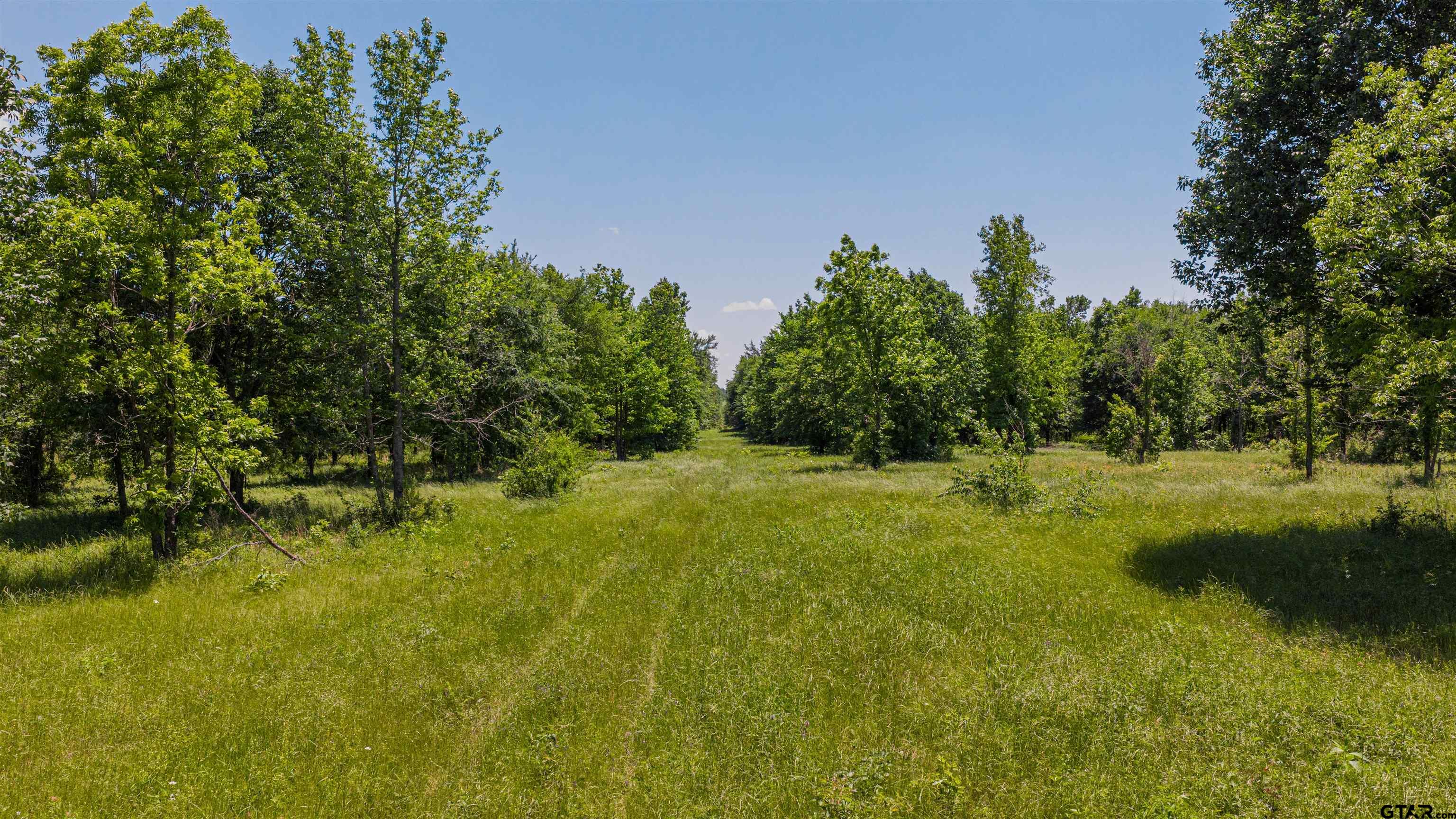 TBD CR 1450